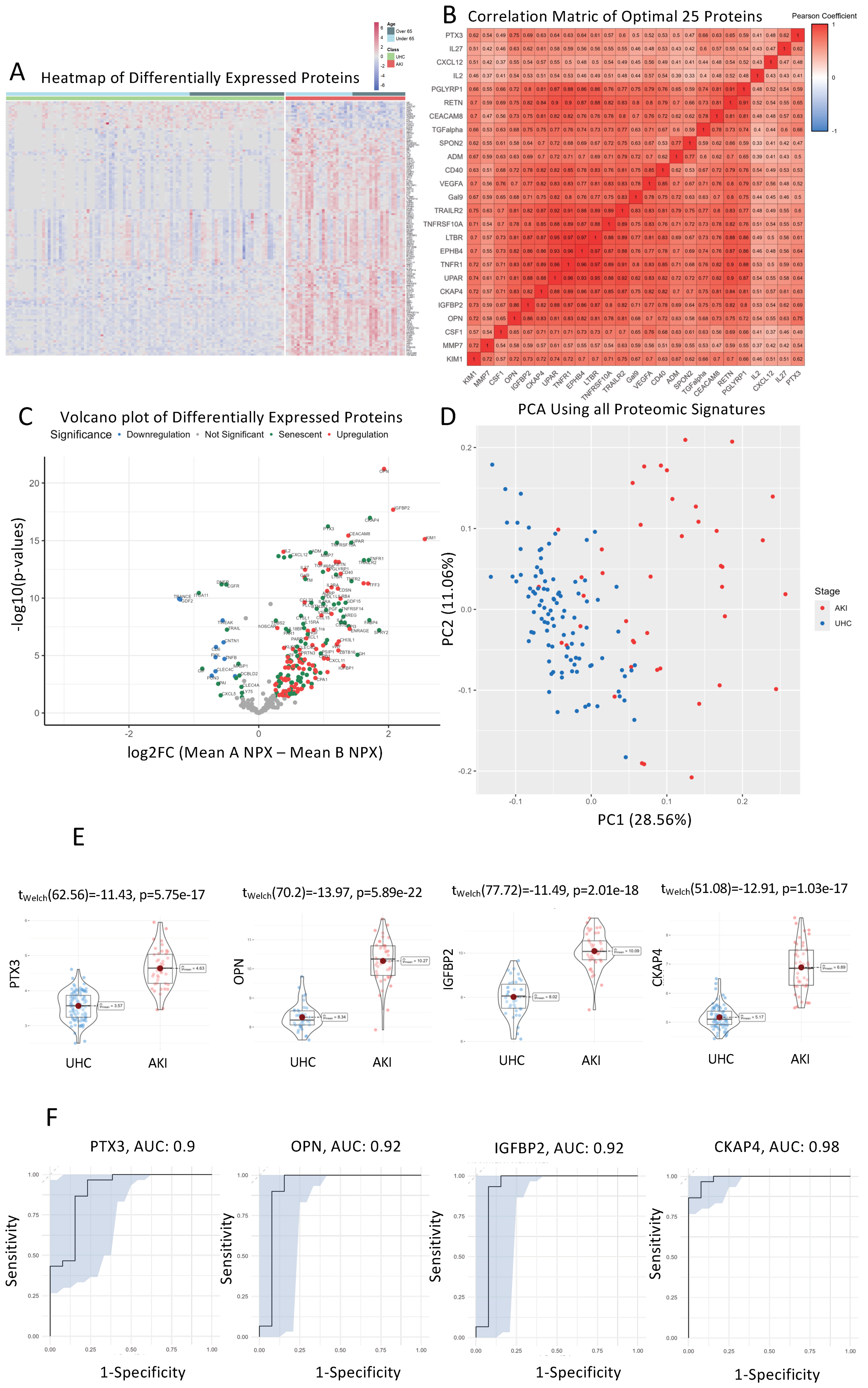 Cells 13 01613 g001 Cells 13 01613 g001