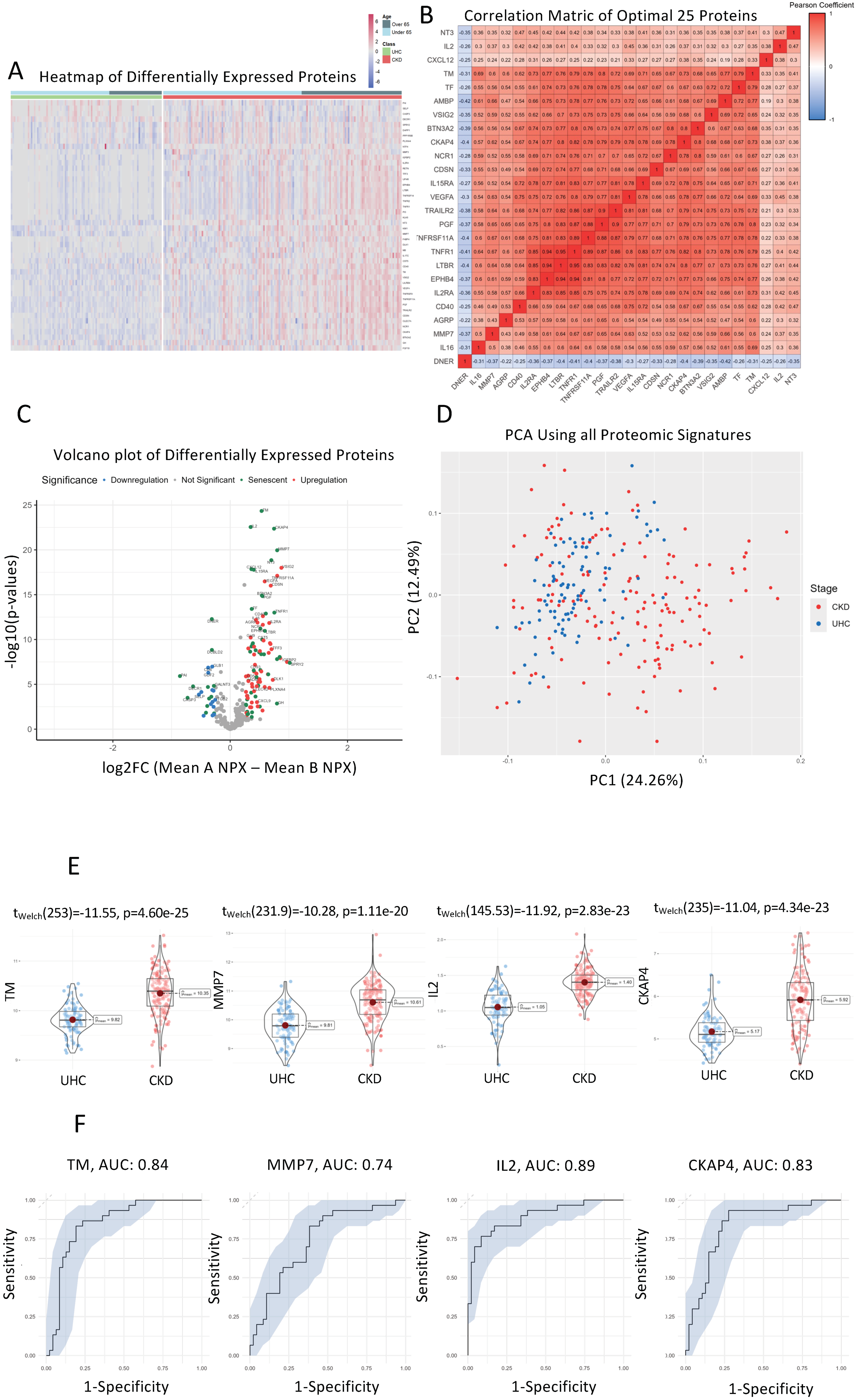 Cells 13 01613 g002 Cells 13 01613 g002