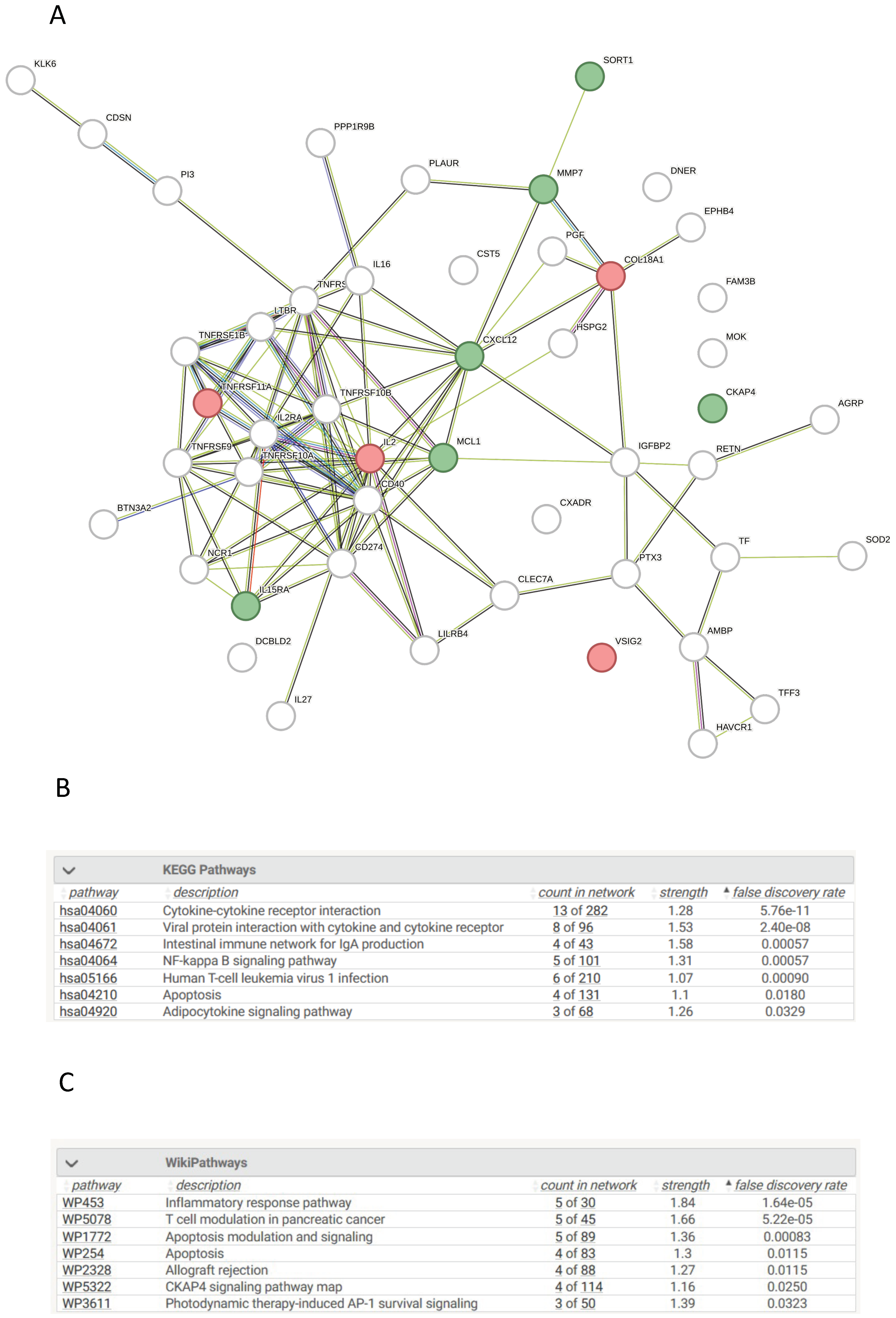 Cells 13 01613 g004 Cells 13 01613 g004