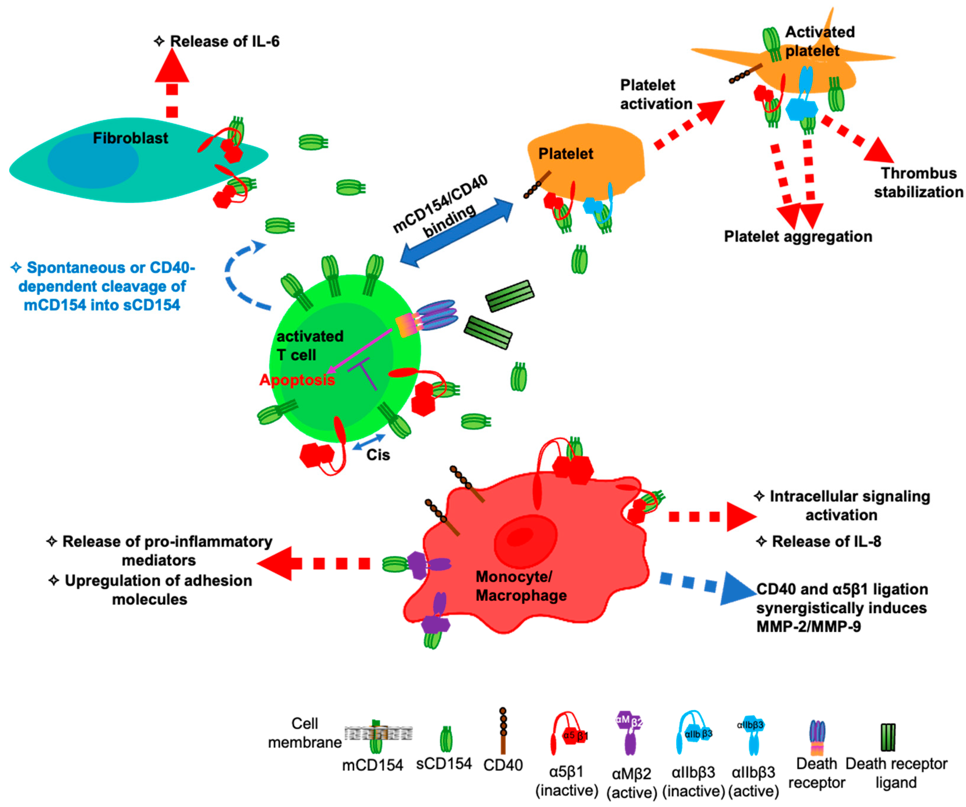 Cells 13 01621 g002 Cells 13 01621 g002