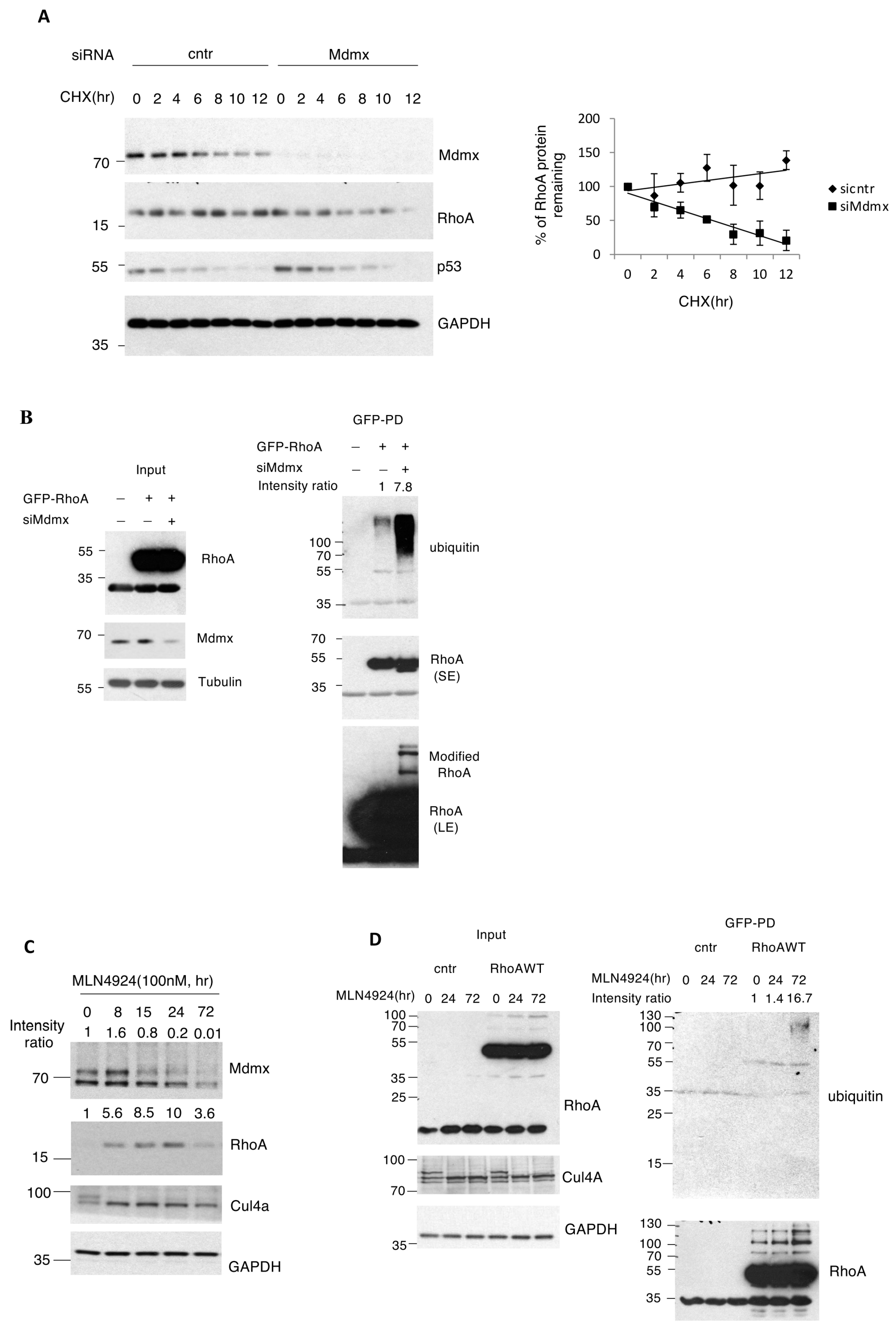 Cells 13 01625 g004 Cells 13 01625 g004