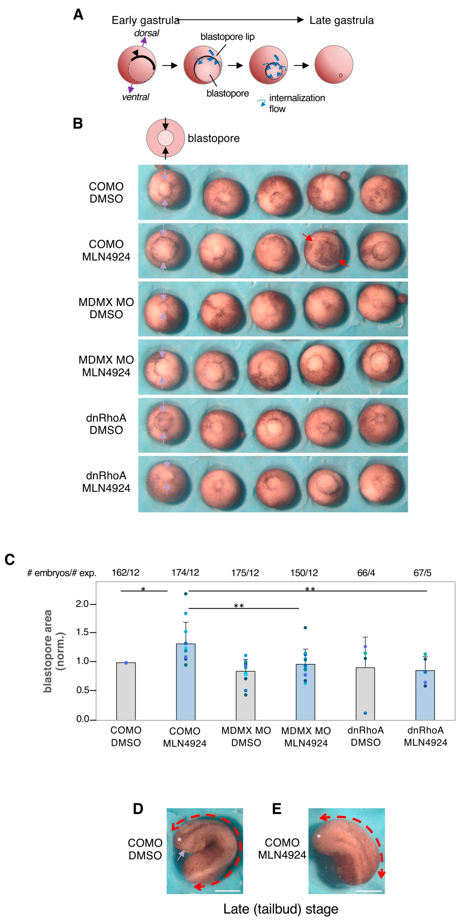 Cells 13 01625 g007 Cells 13 01625 g007