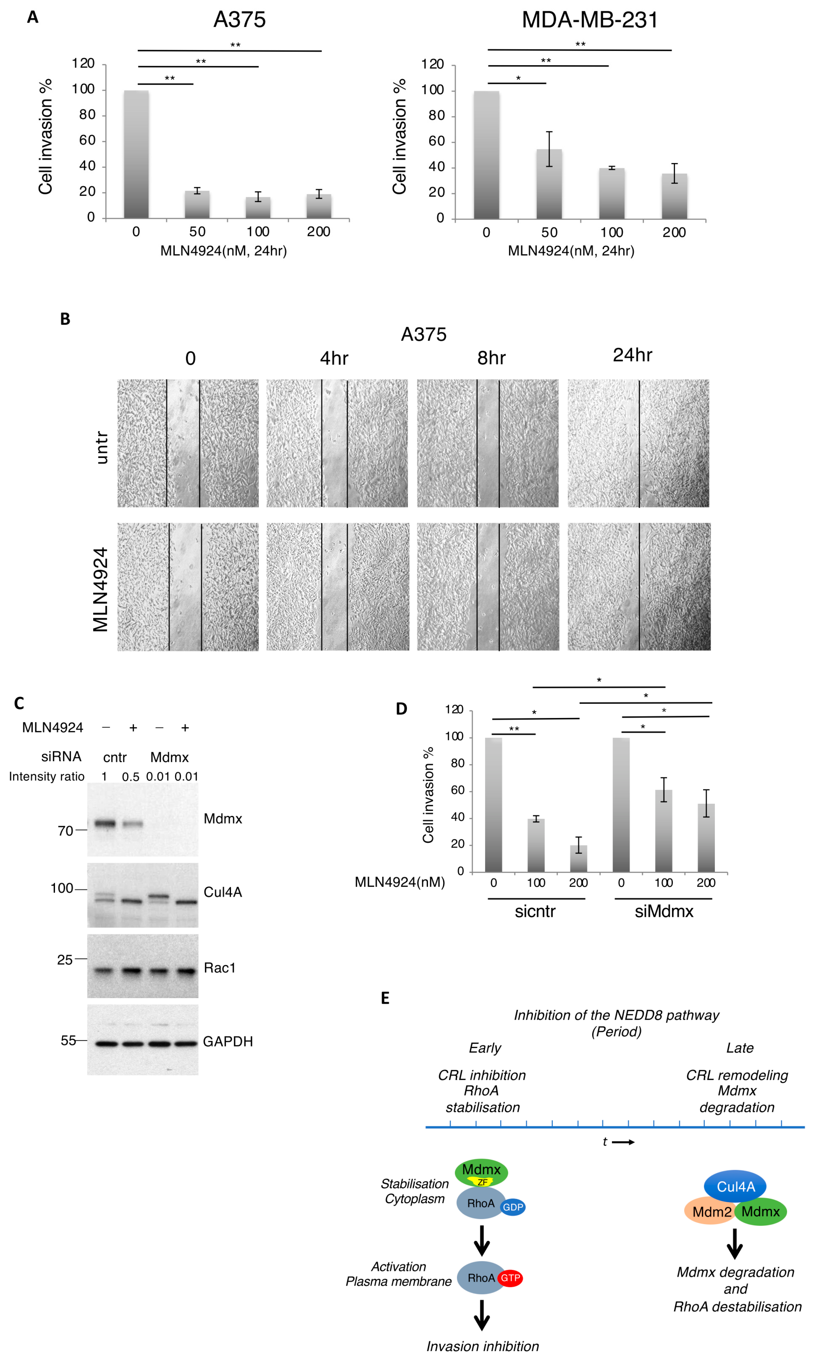 Cells 13 01625 g008 Cells 13 01625 g008