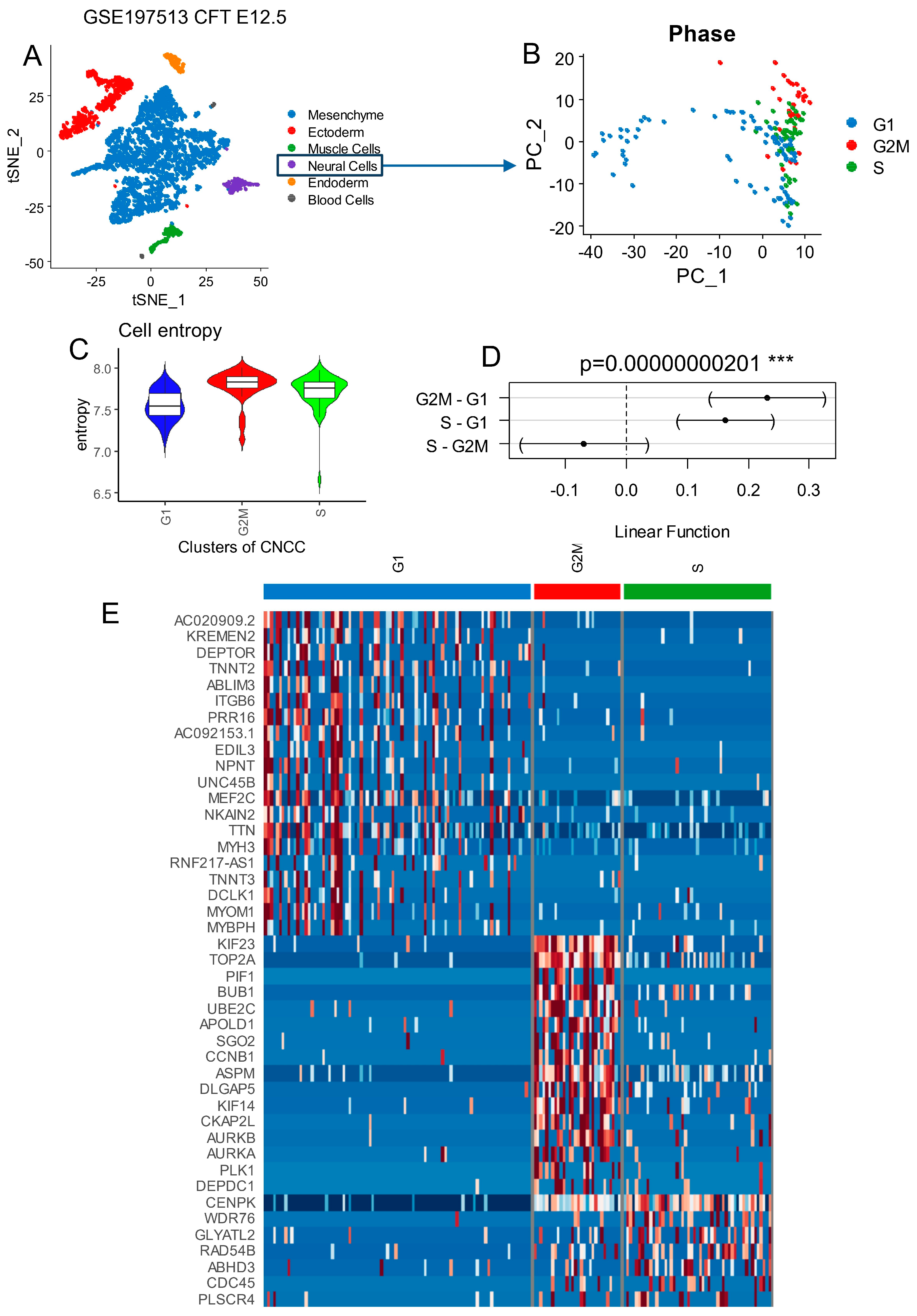 Cells 13 01634 g001 Cells 13 01634 g001