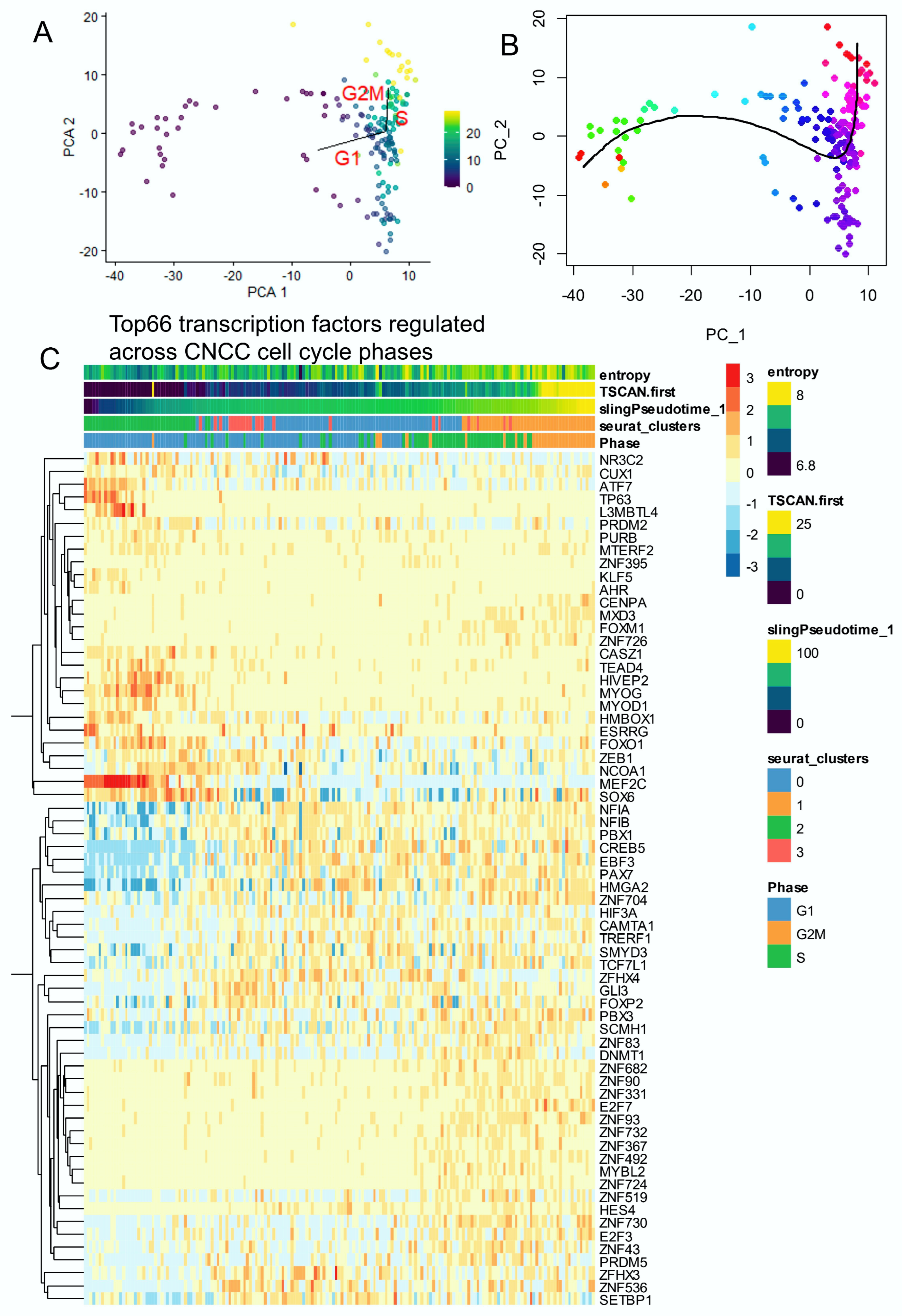 Cells 13 01634 g002 Cells 13 01634 g002