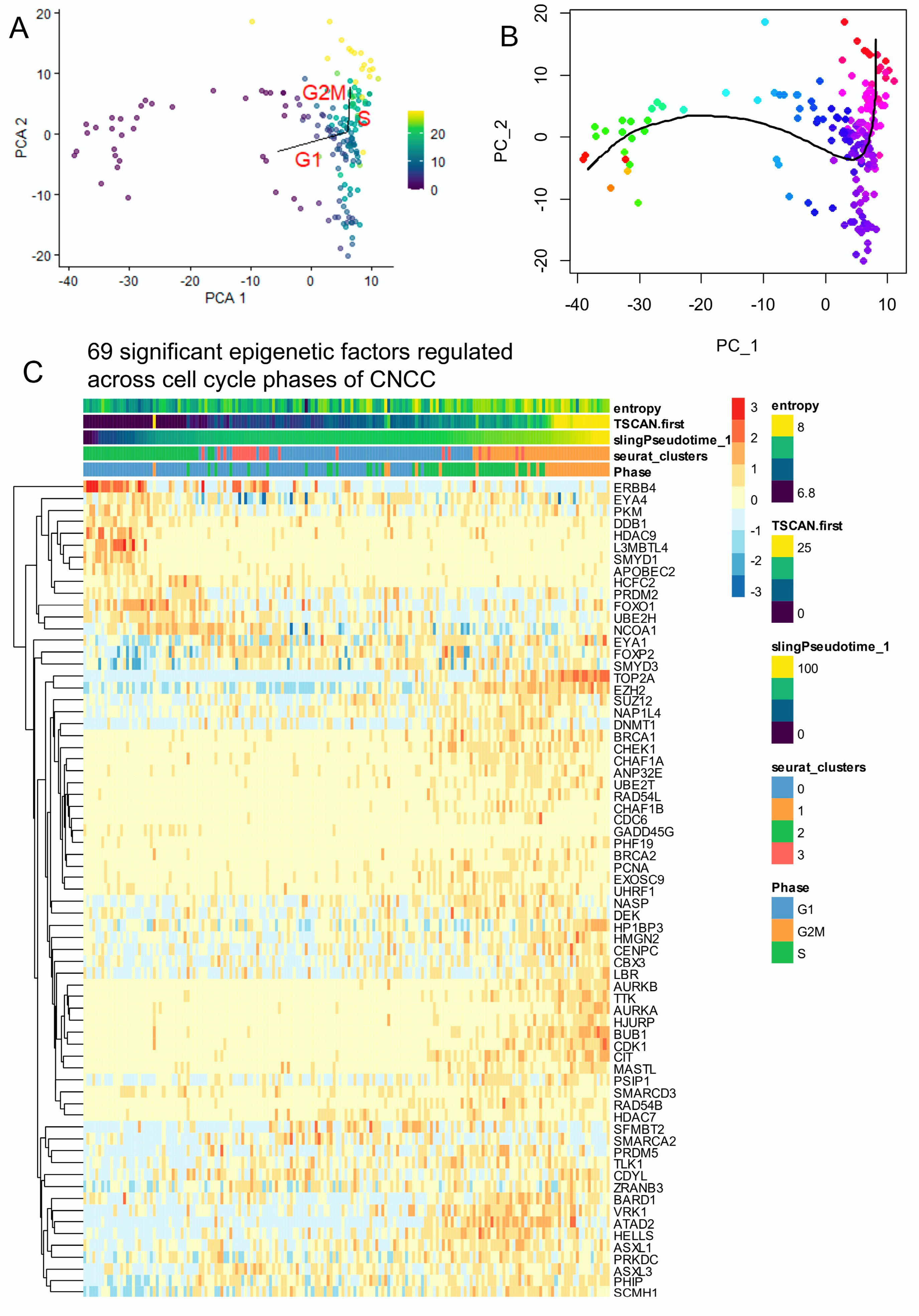 Cells 13 01634 g003 Cells 13 01634 g003