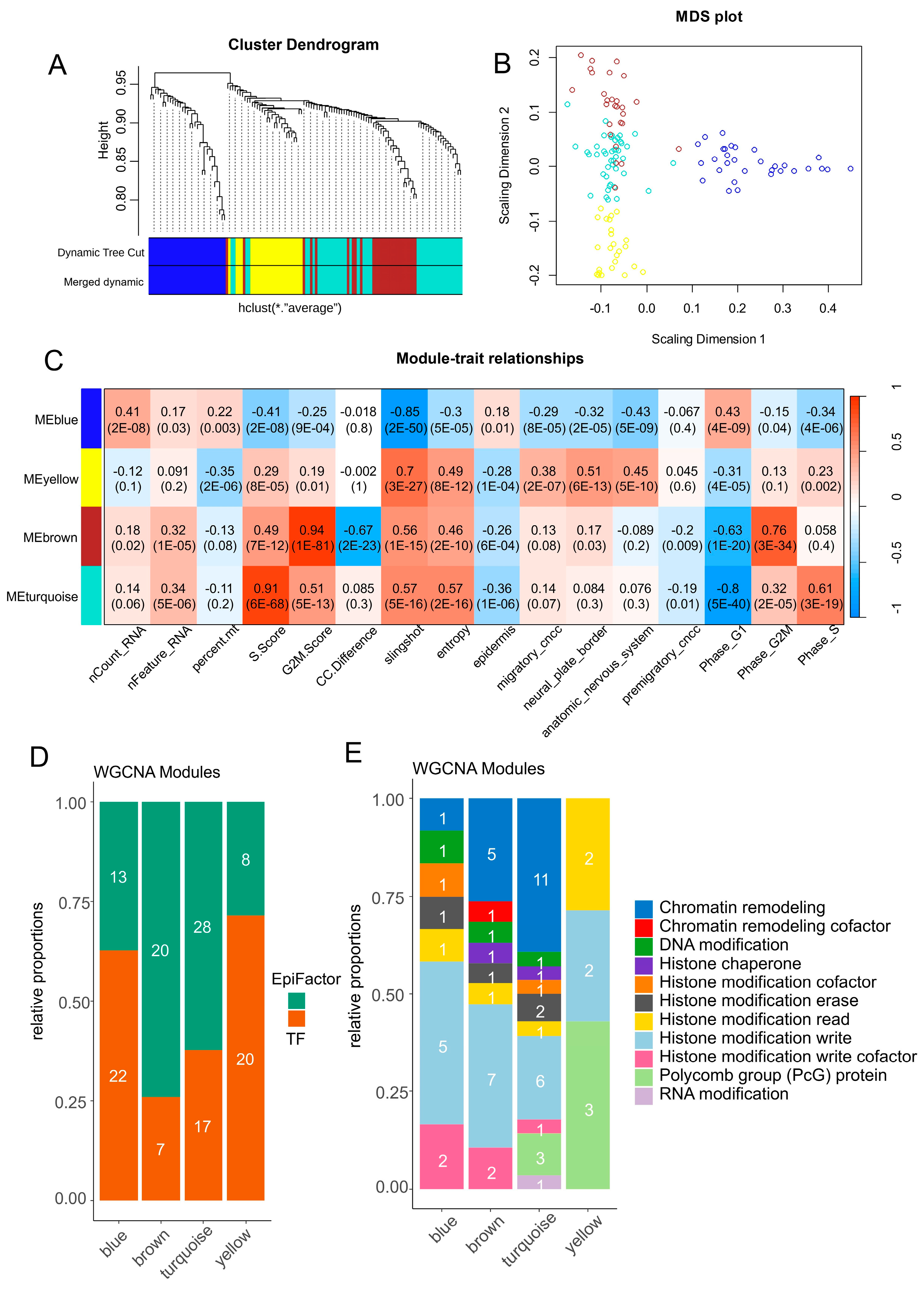 Cells 13 01634 g005 Cells 13 01634 g005