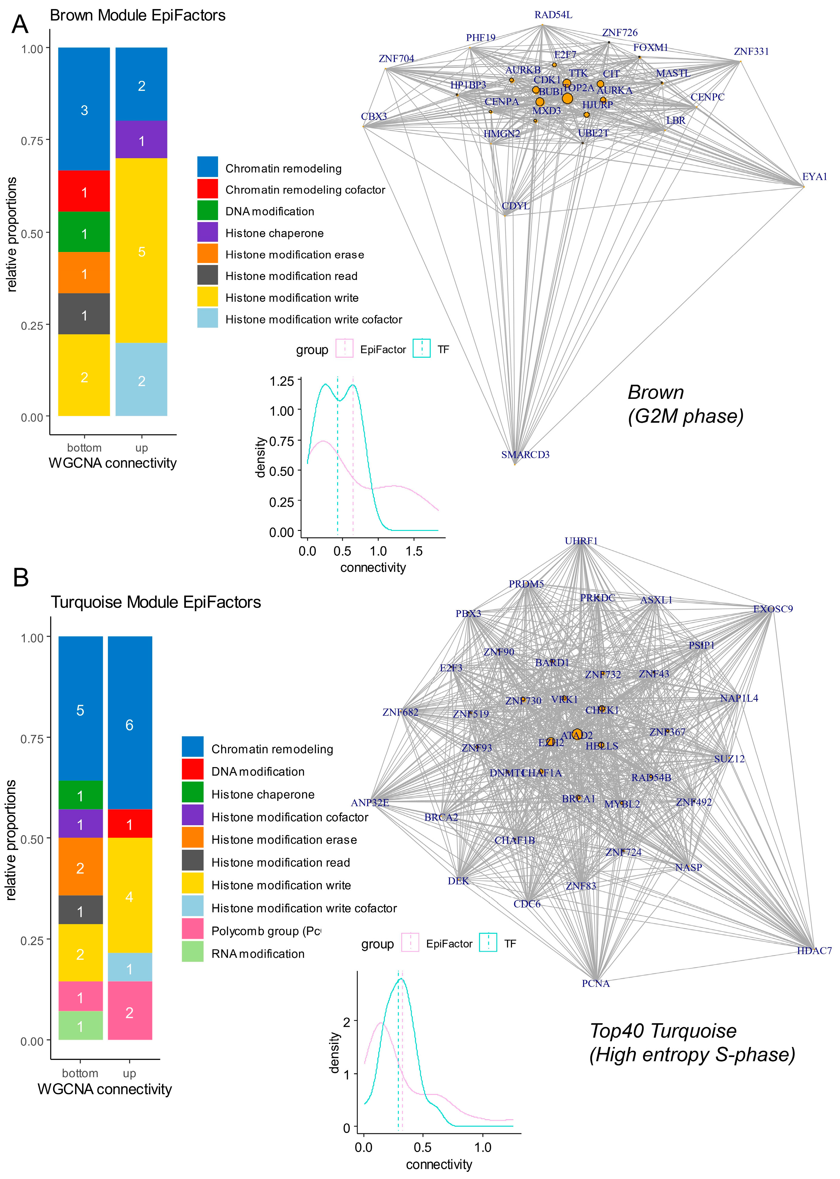 Cells 13 01634 g006 Cells 13 01634 g006