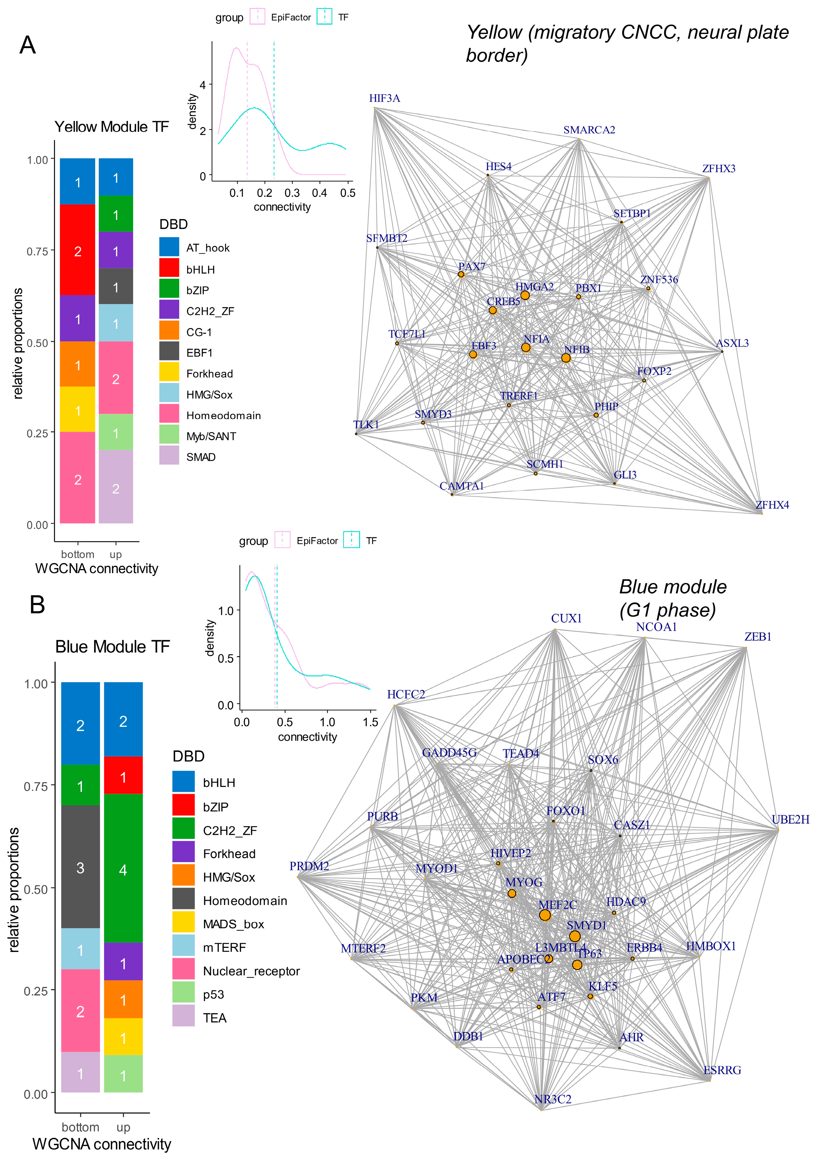 Cells 13 01634 g007 Cells 13 01634 g007