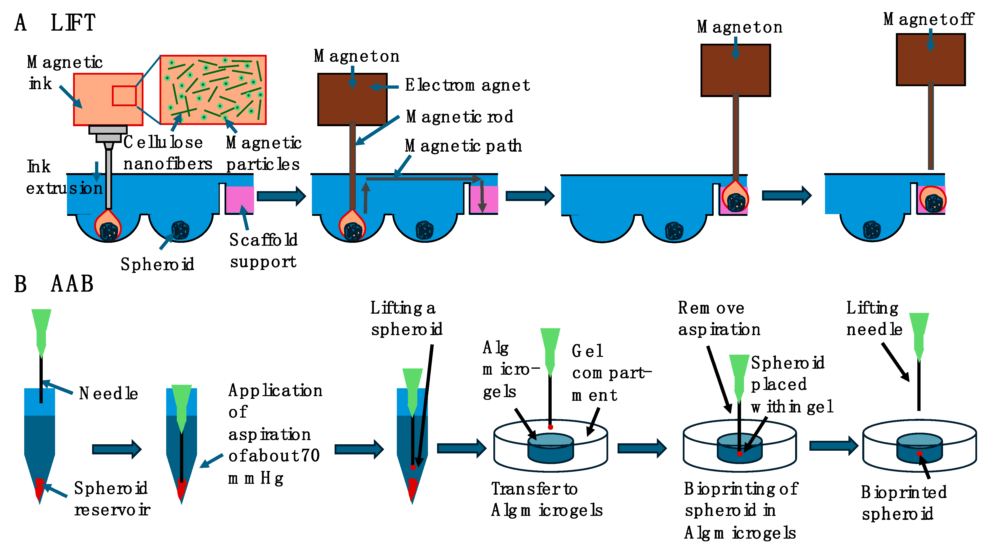 Cells 13 01638 g006 Cells 13 01638 g006
