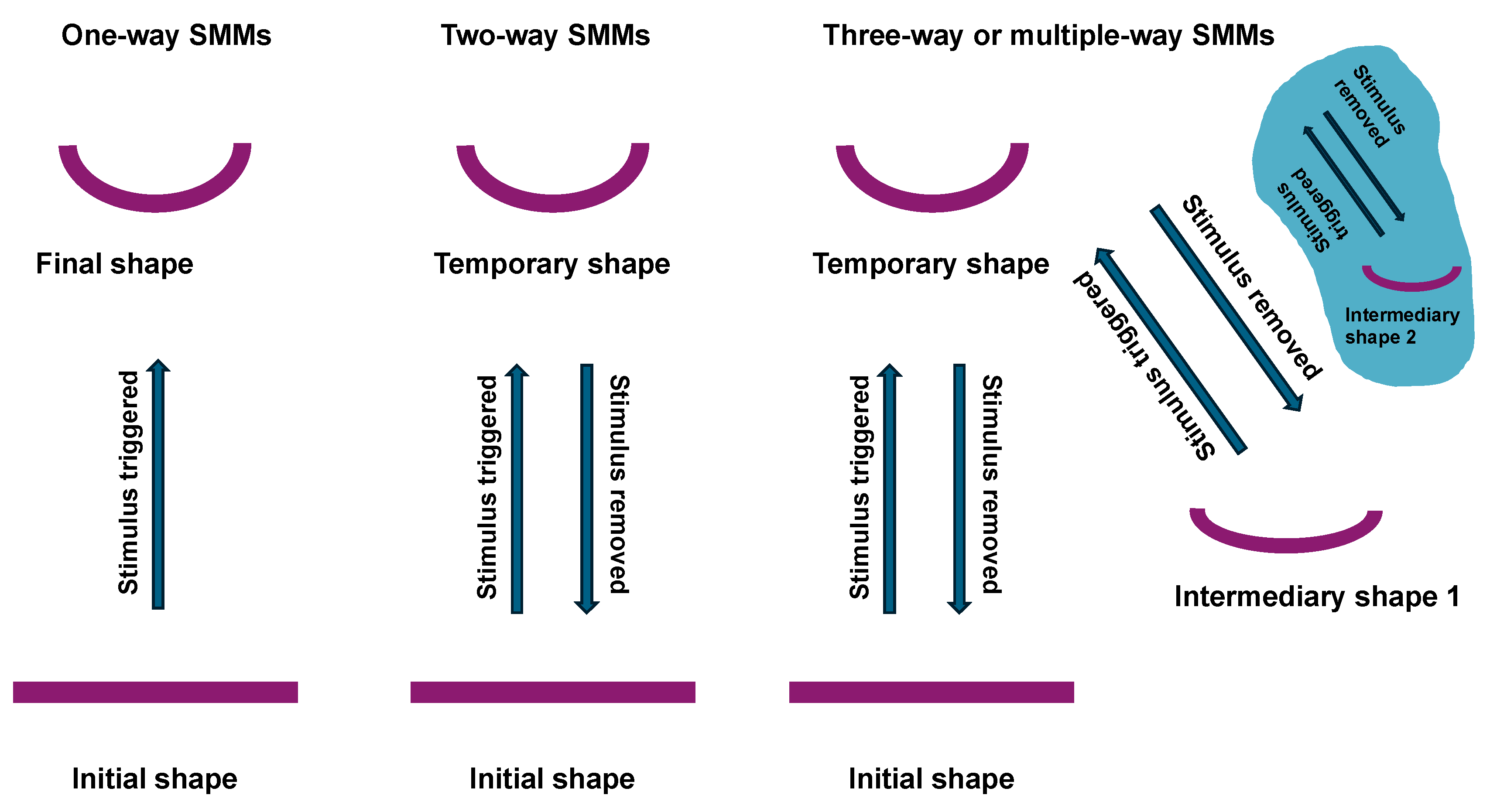 Cells 13 01638 g008 Cells 13 01638 g008