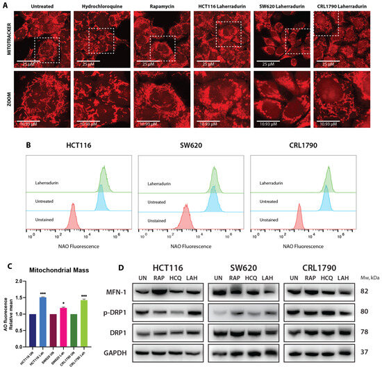 チュウ Spontaneous anode-molecule interface triggers highly