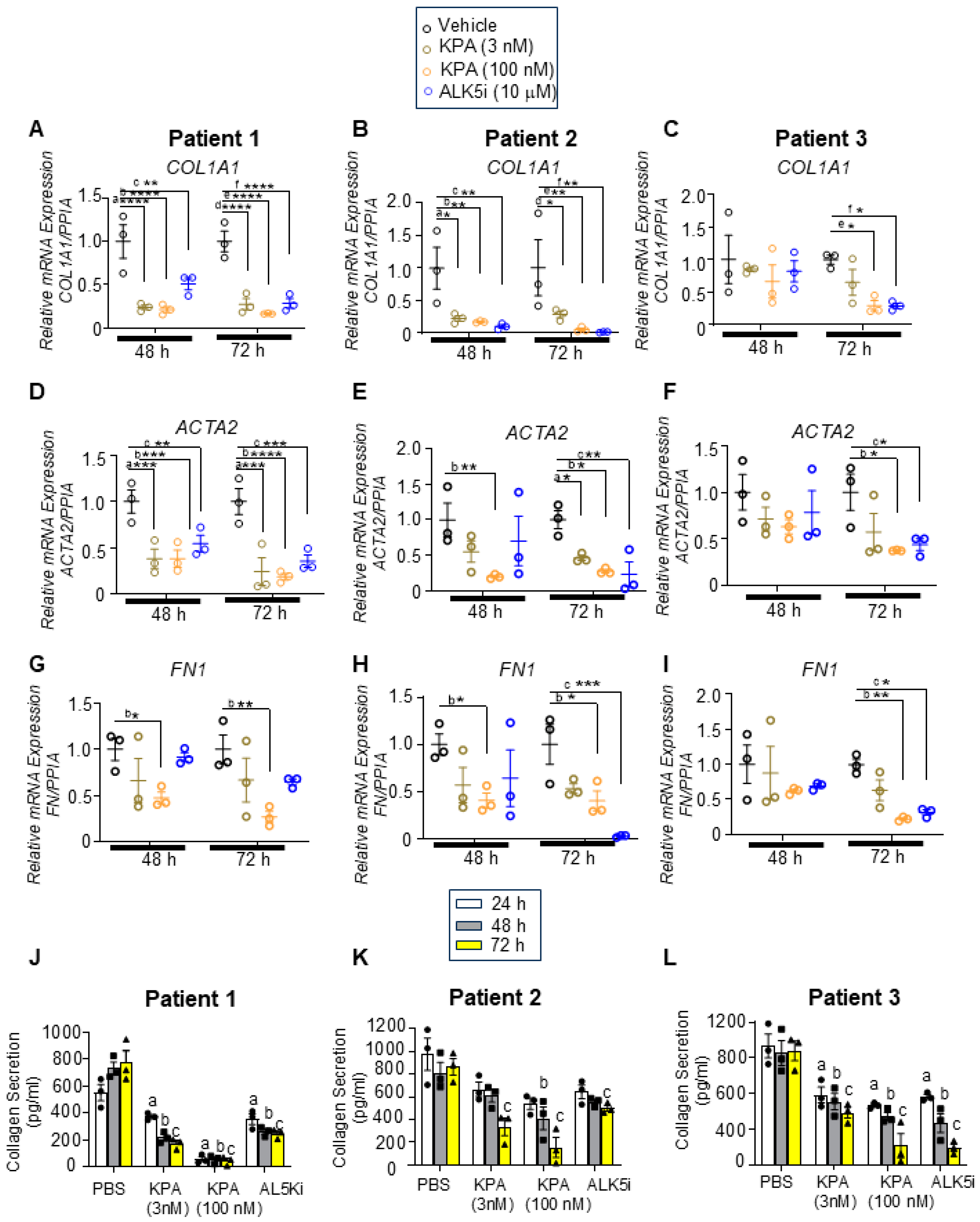 Cells 13 01651 g001 Cells 13 01651 g001