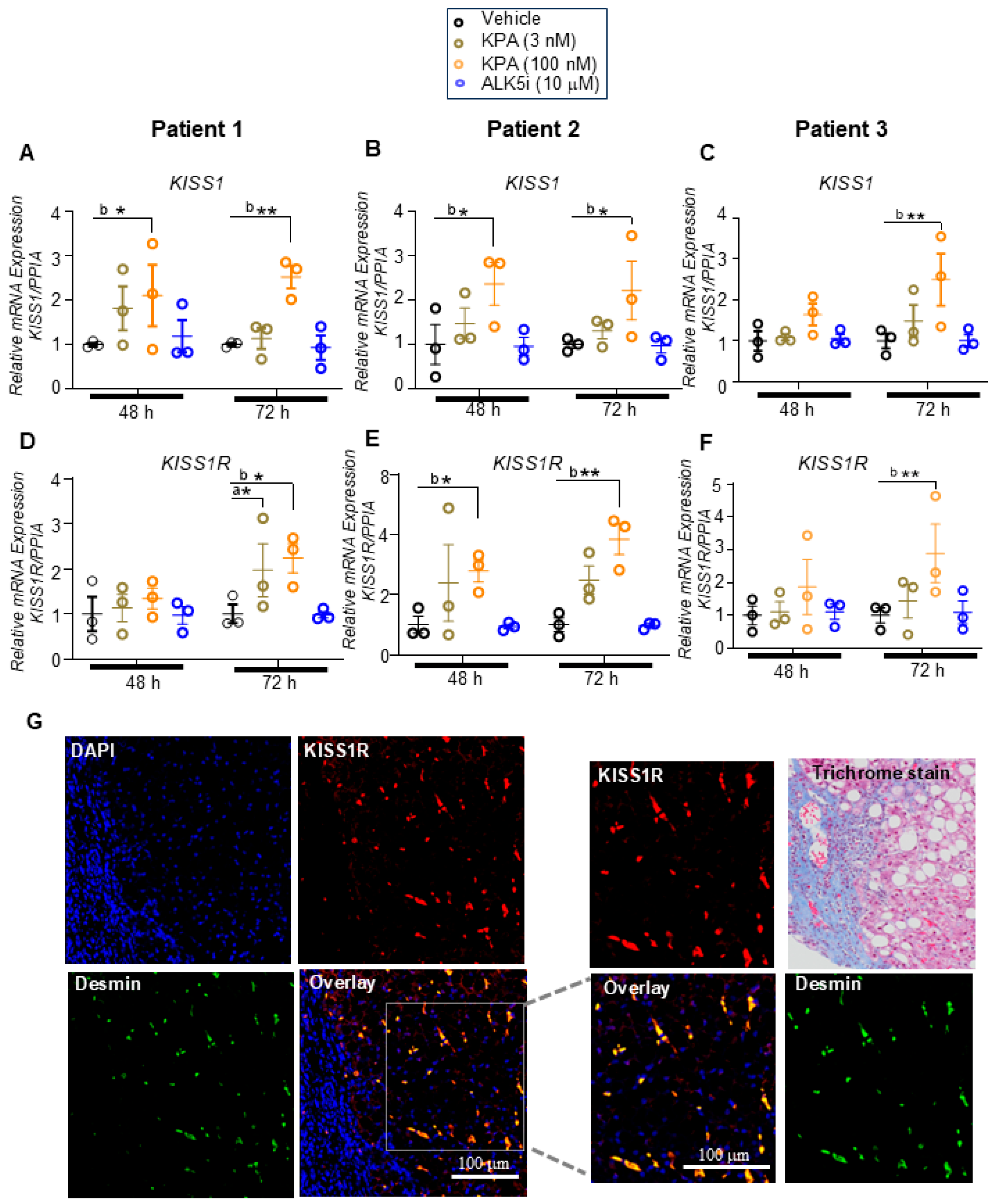 Cells 13 01651 g004 Cells 13 01651 g004
