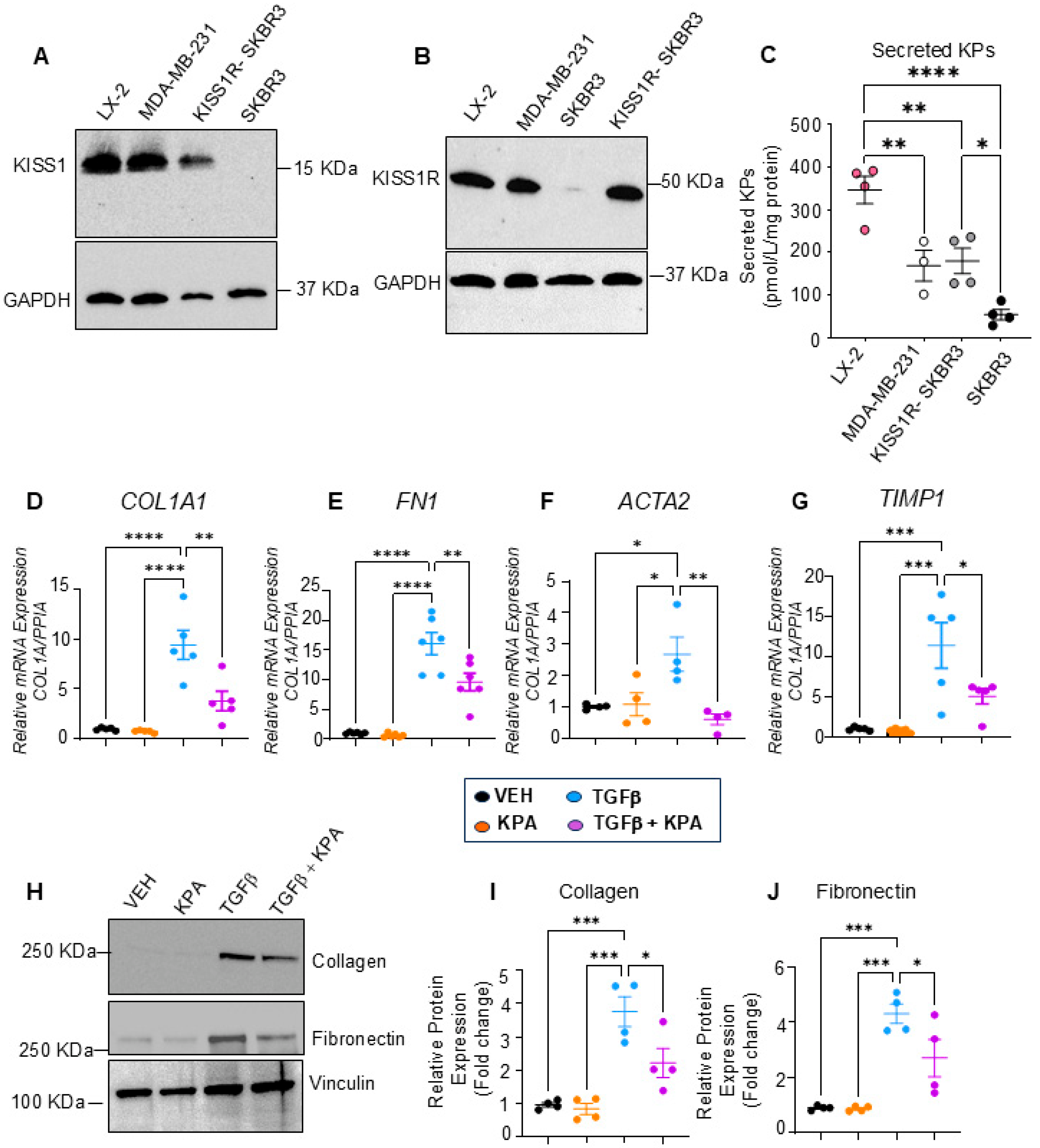 Cells 13 01651 g005 Cells 13 01651 g005