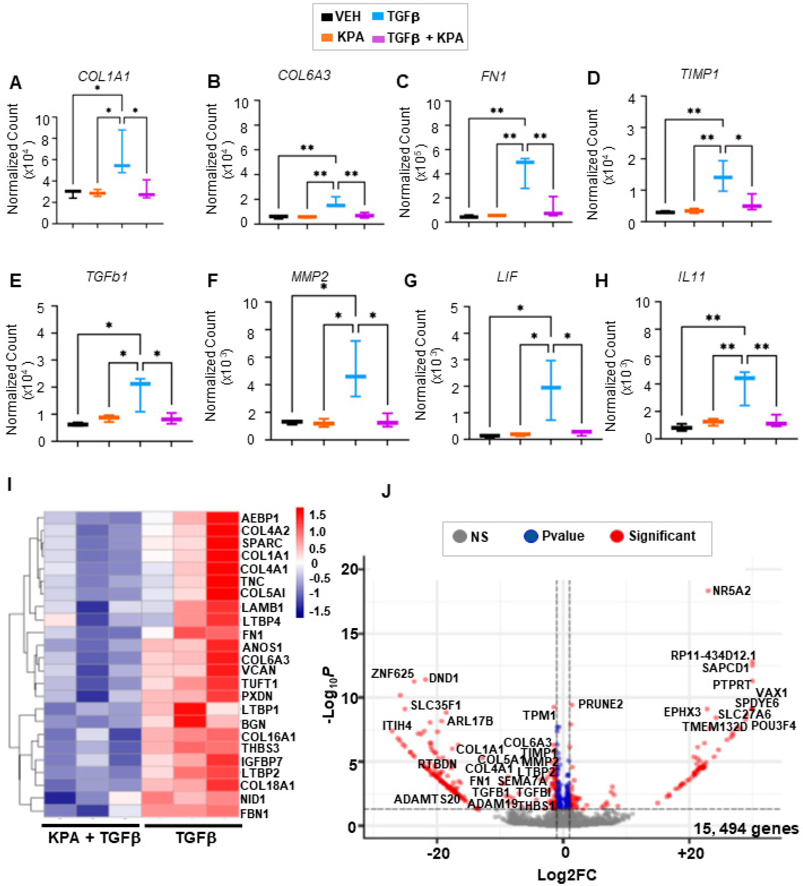 Cells 13 01651 g007 Cells 13 01651 g007