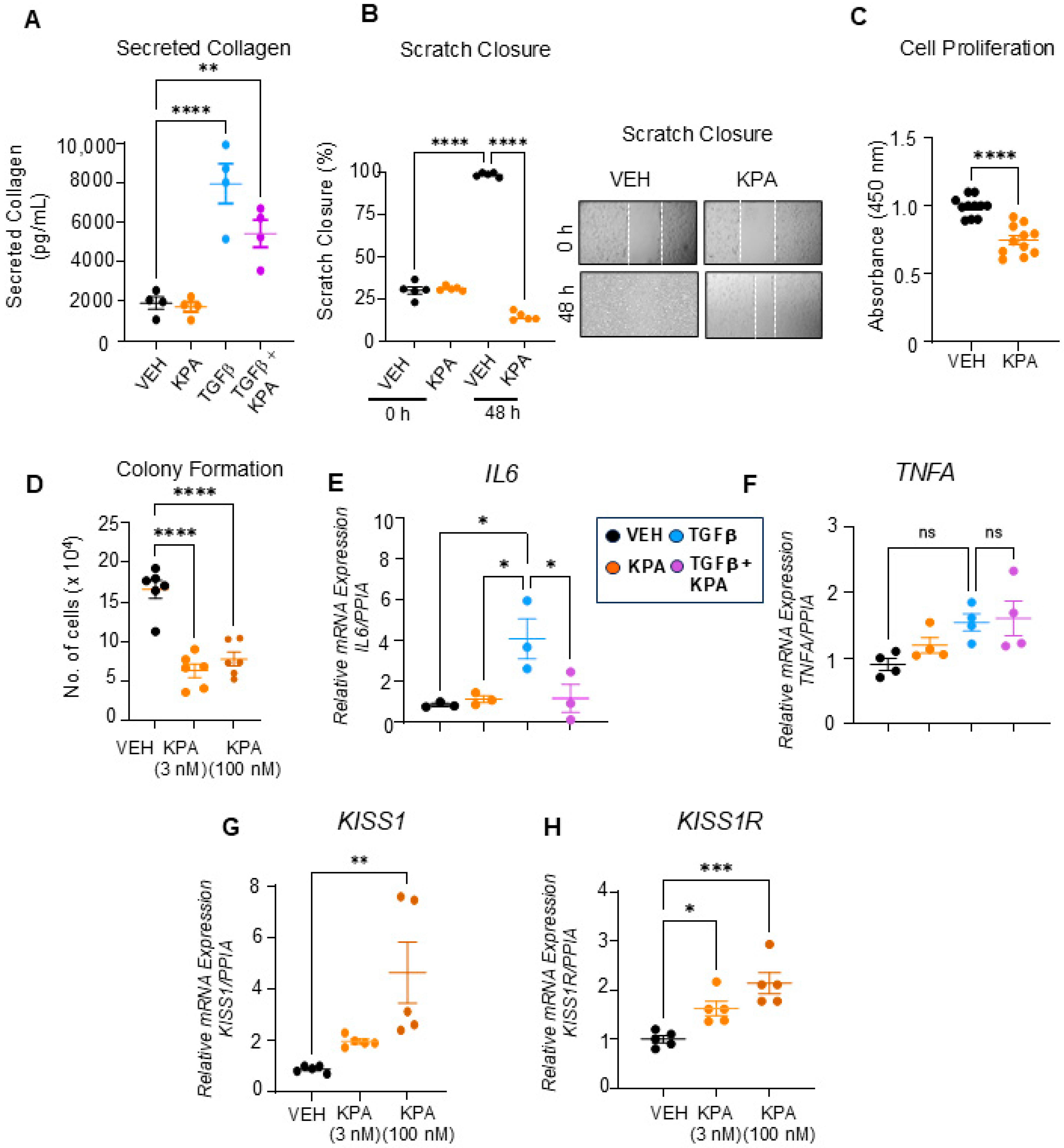 Cells 13 01651 g009 Cells 13 01651 g009