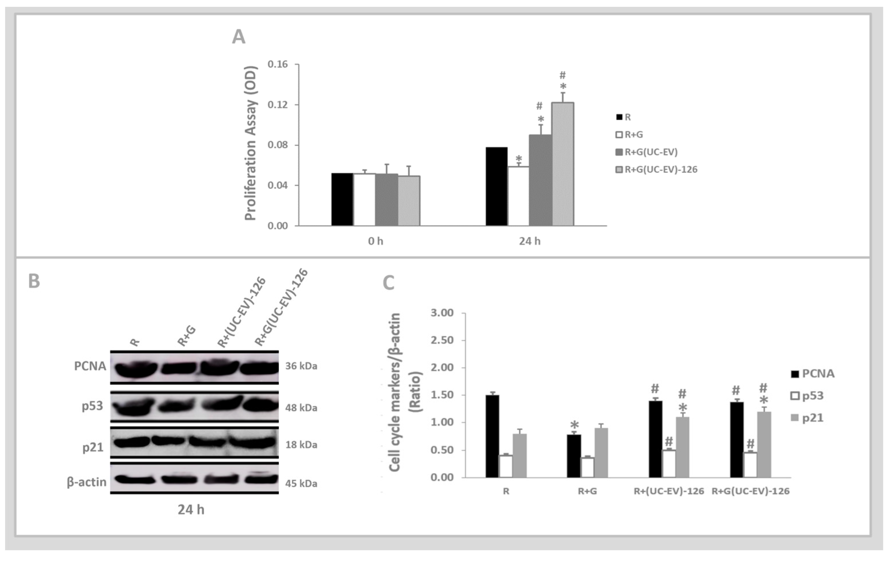 Cells 13 01658 g005 Cells 13 01658 g005