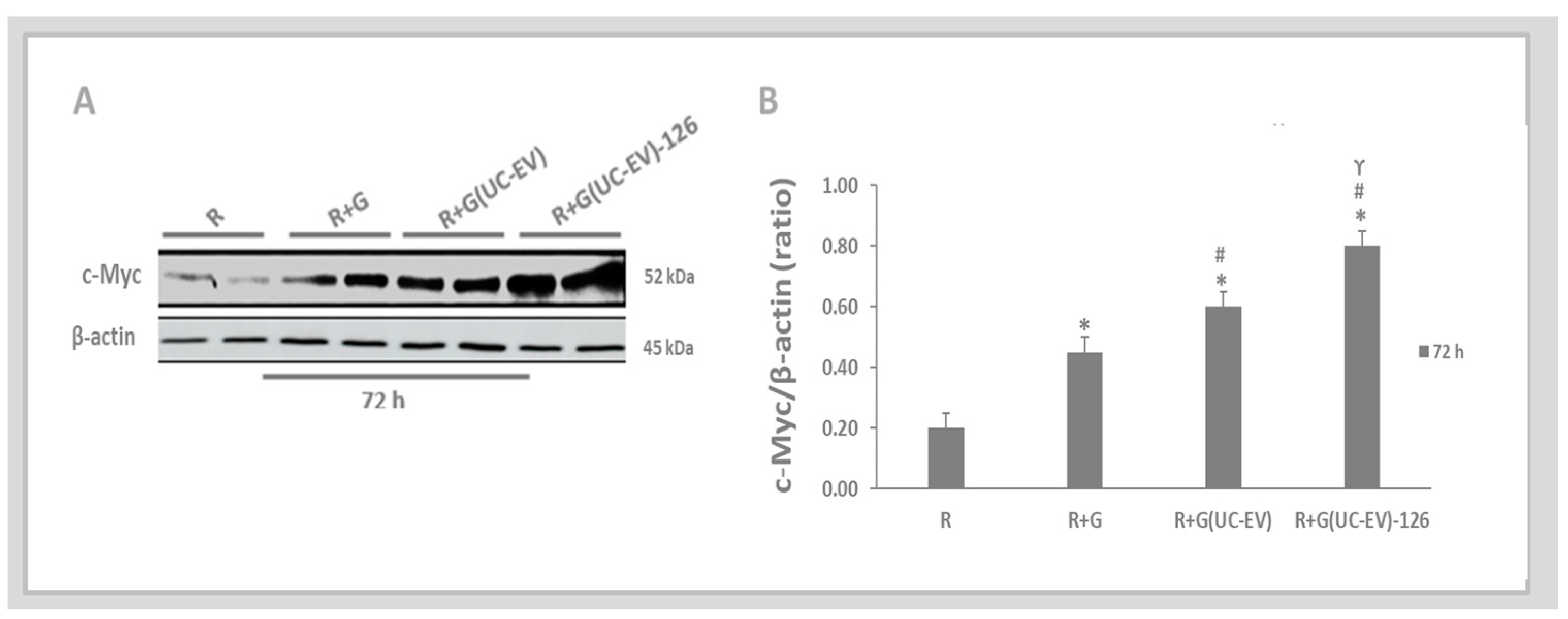 Cells 13 01658 g007 Cells 13 01658 g007