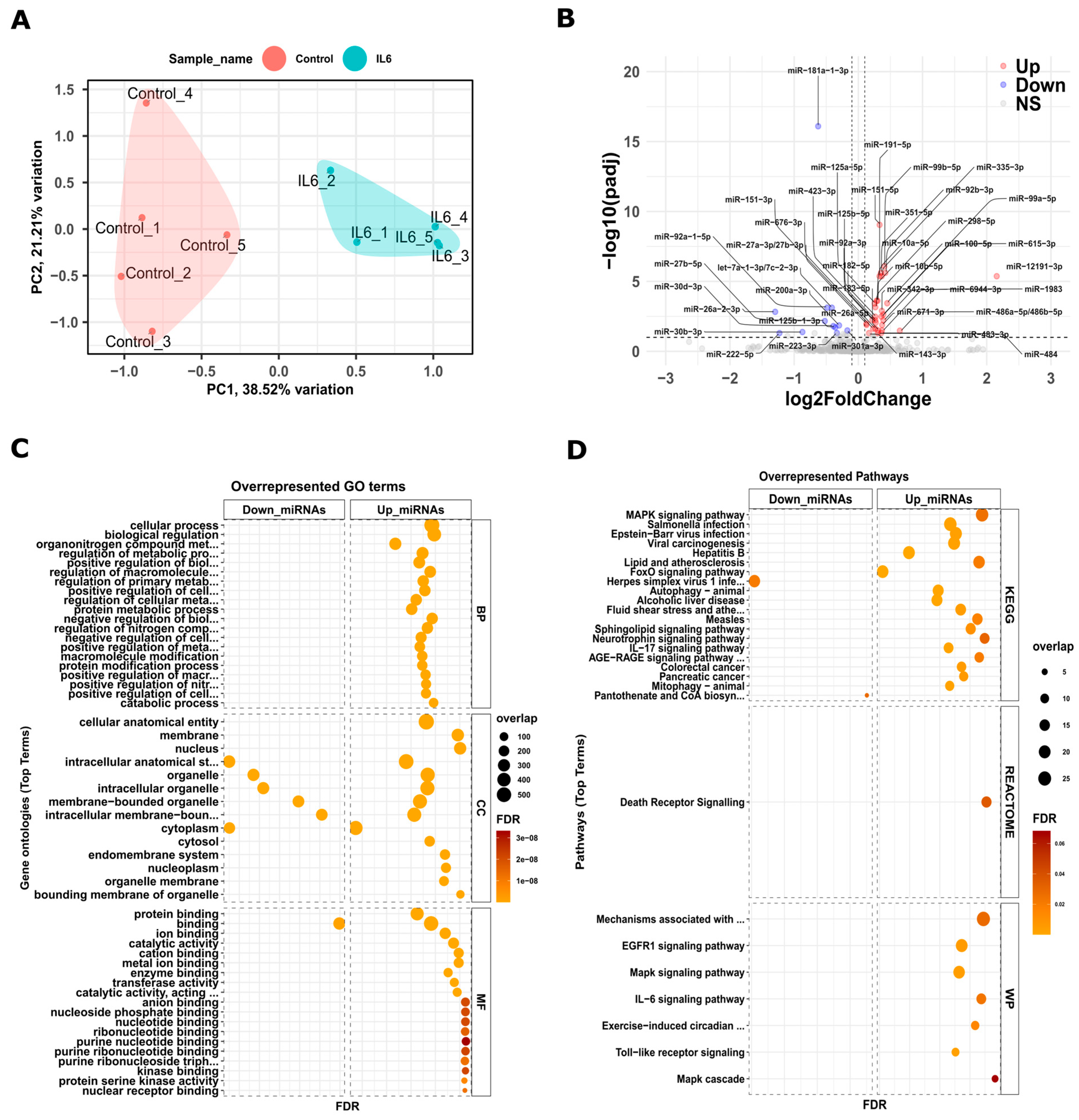 Cells 13 01667 g002 Cells 13 01667 g002