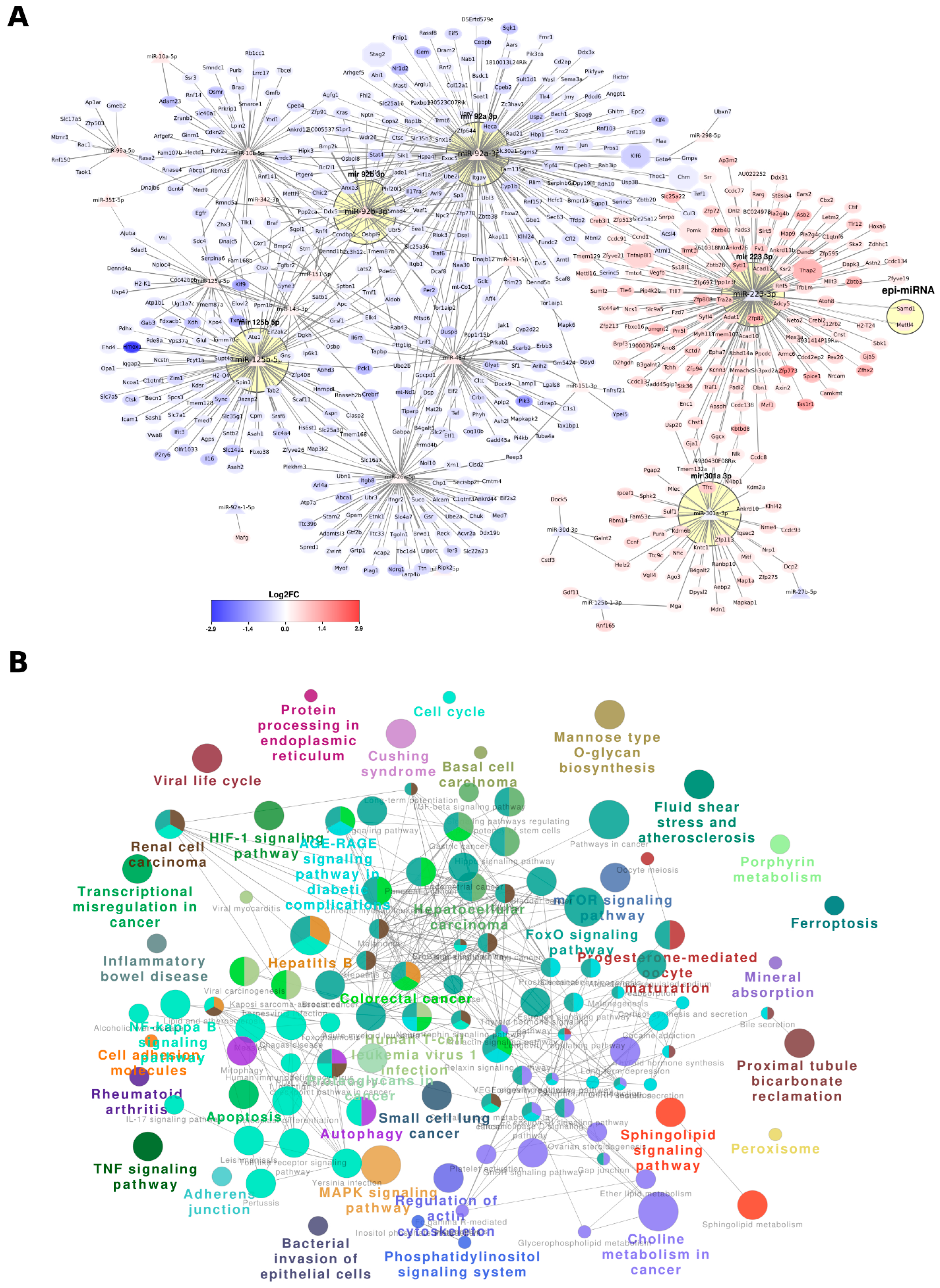 Cells 13 01667 g004 Cells 13 01667 g004