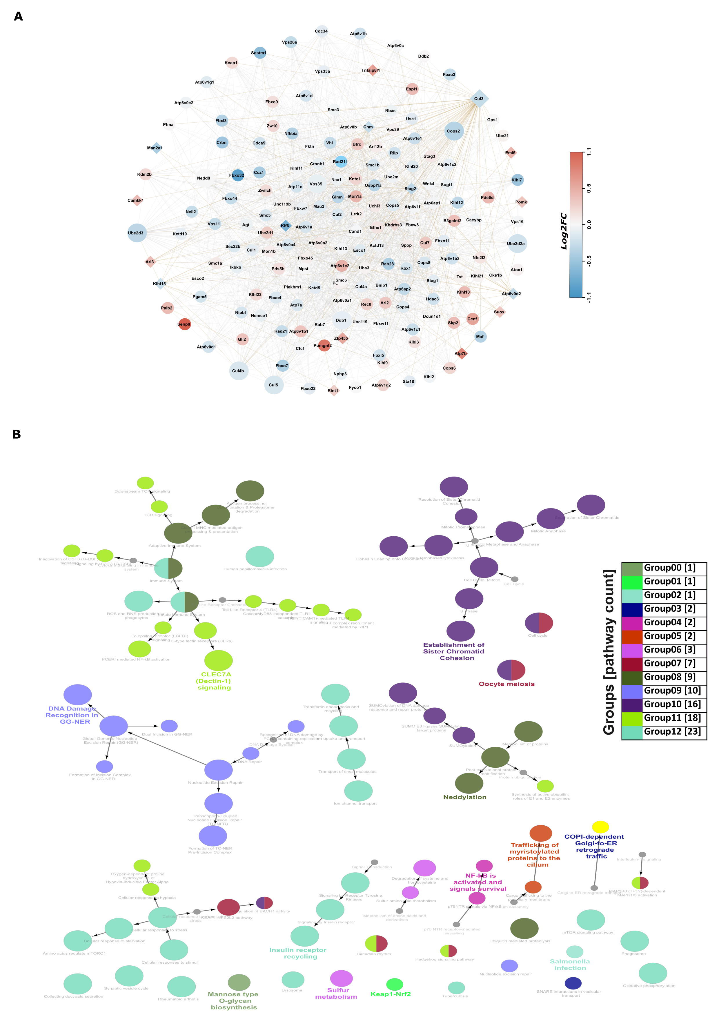 Cells 13 01667 g006 Cells 13 01667 g006