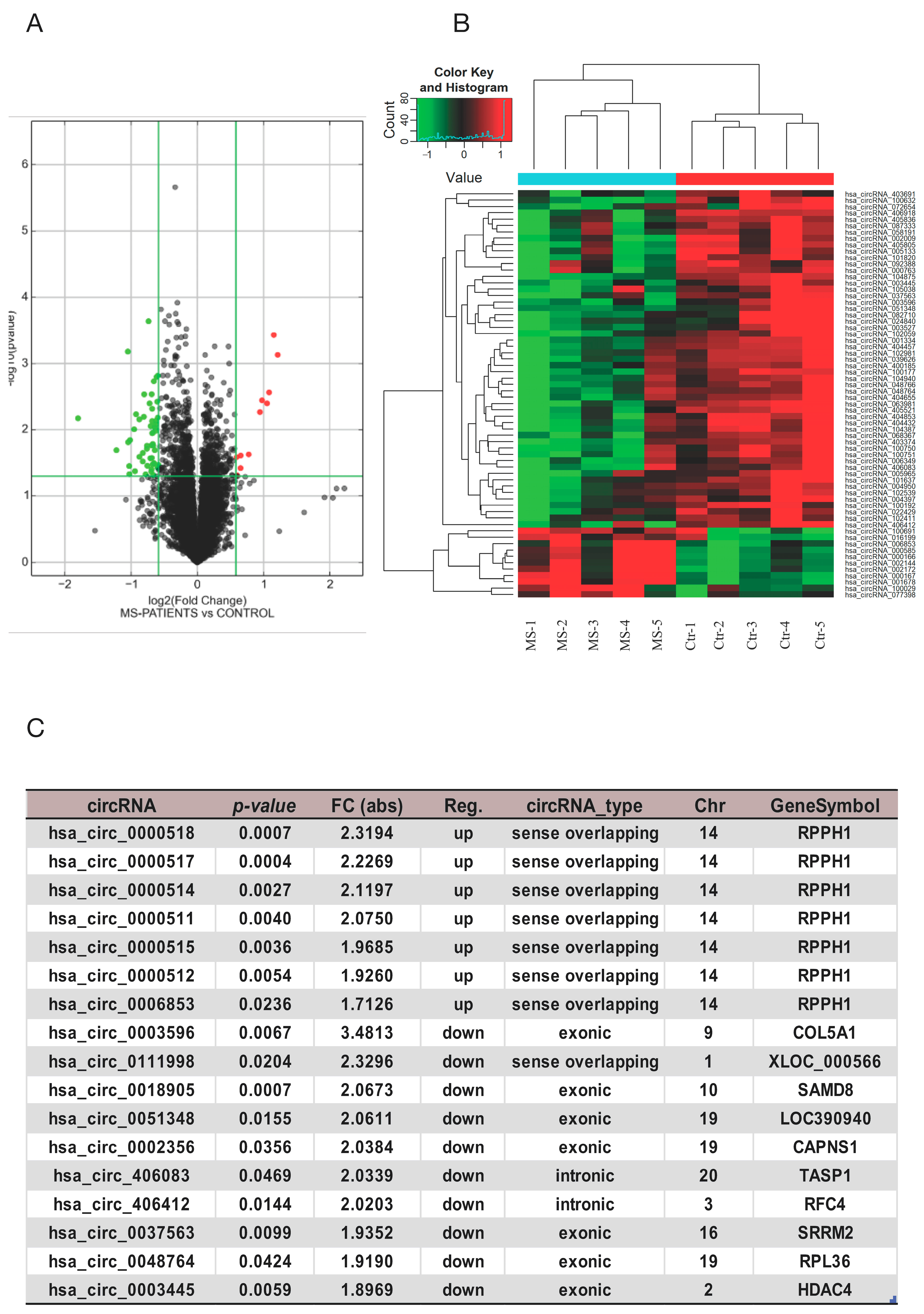 Identification of hsa_circ_0018905 as a New Potential