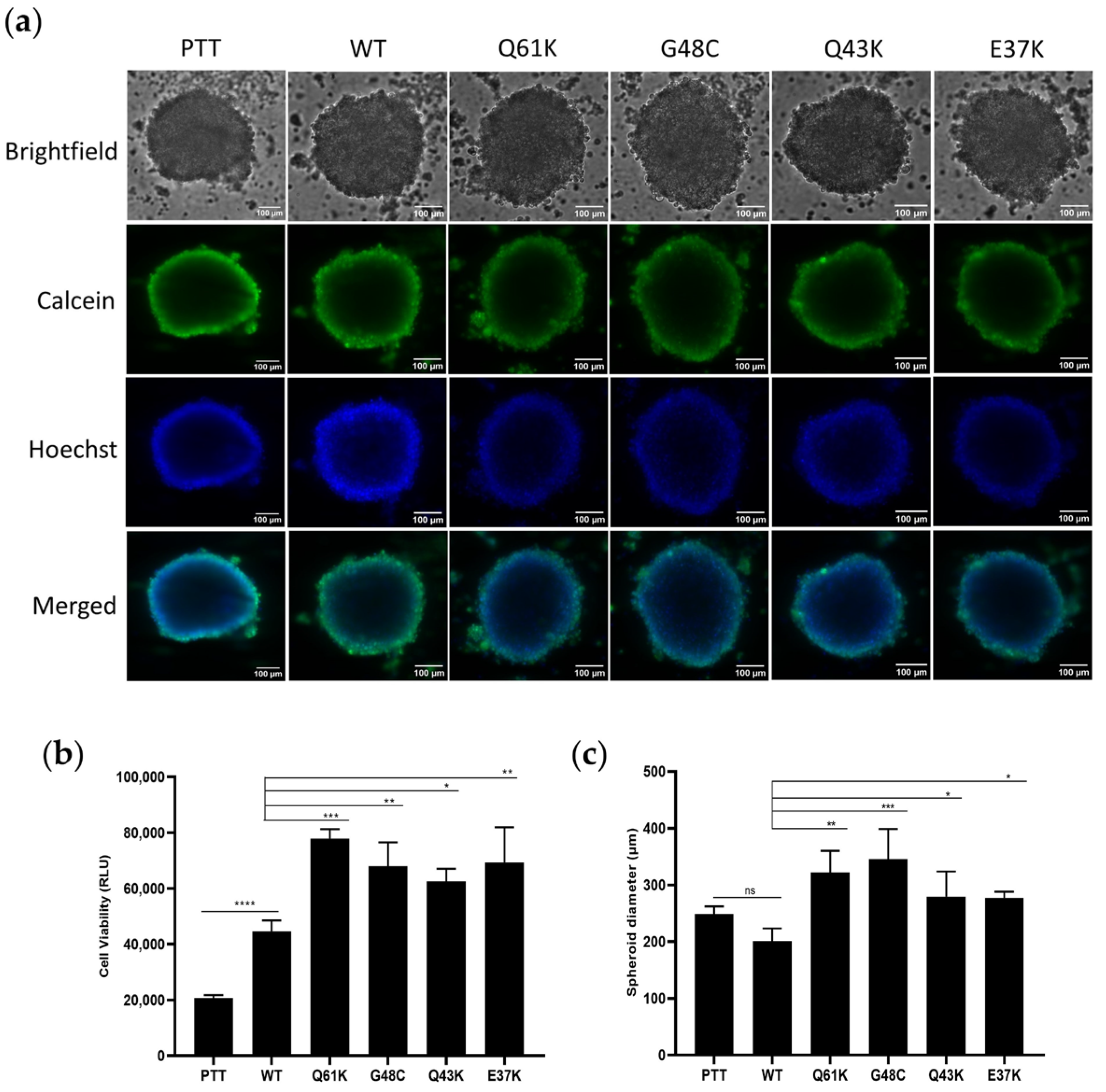 Cells 13 01691 g002 Cells 13 01691 g002
