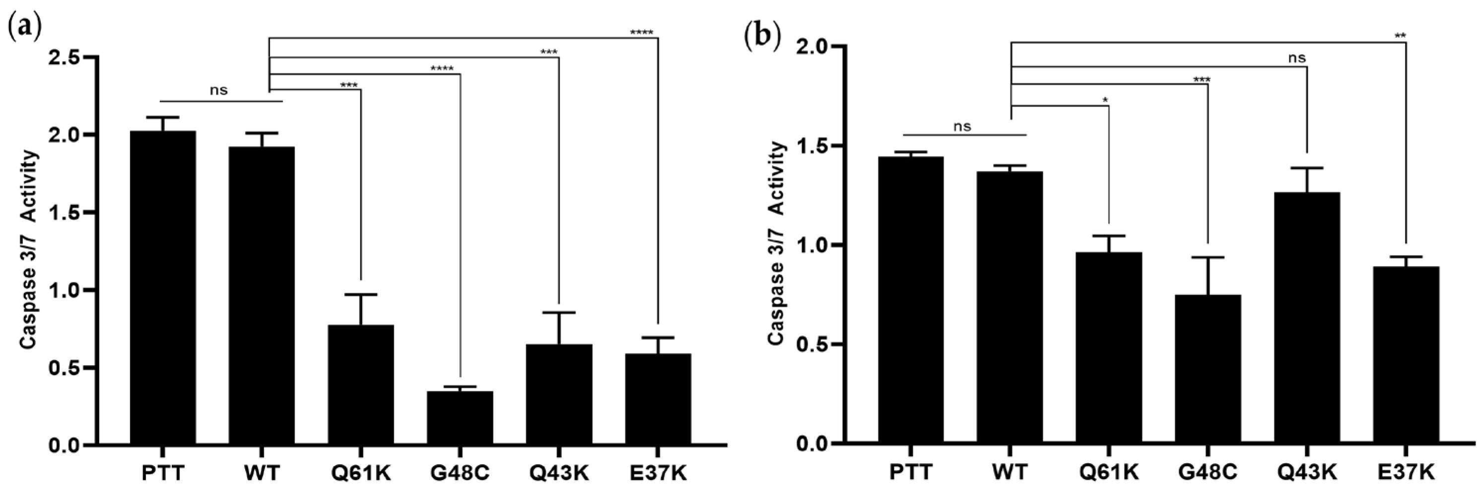 Cells 13 01691 g003 Cells 13 01691 g003