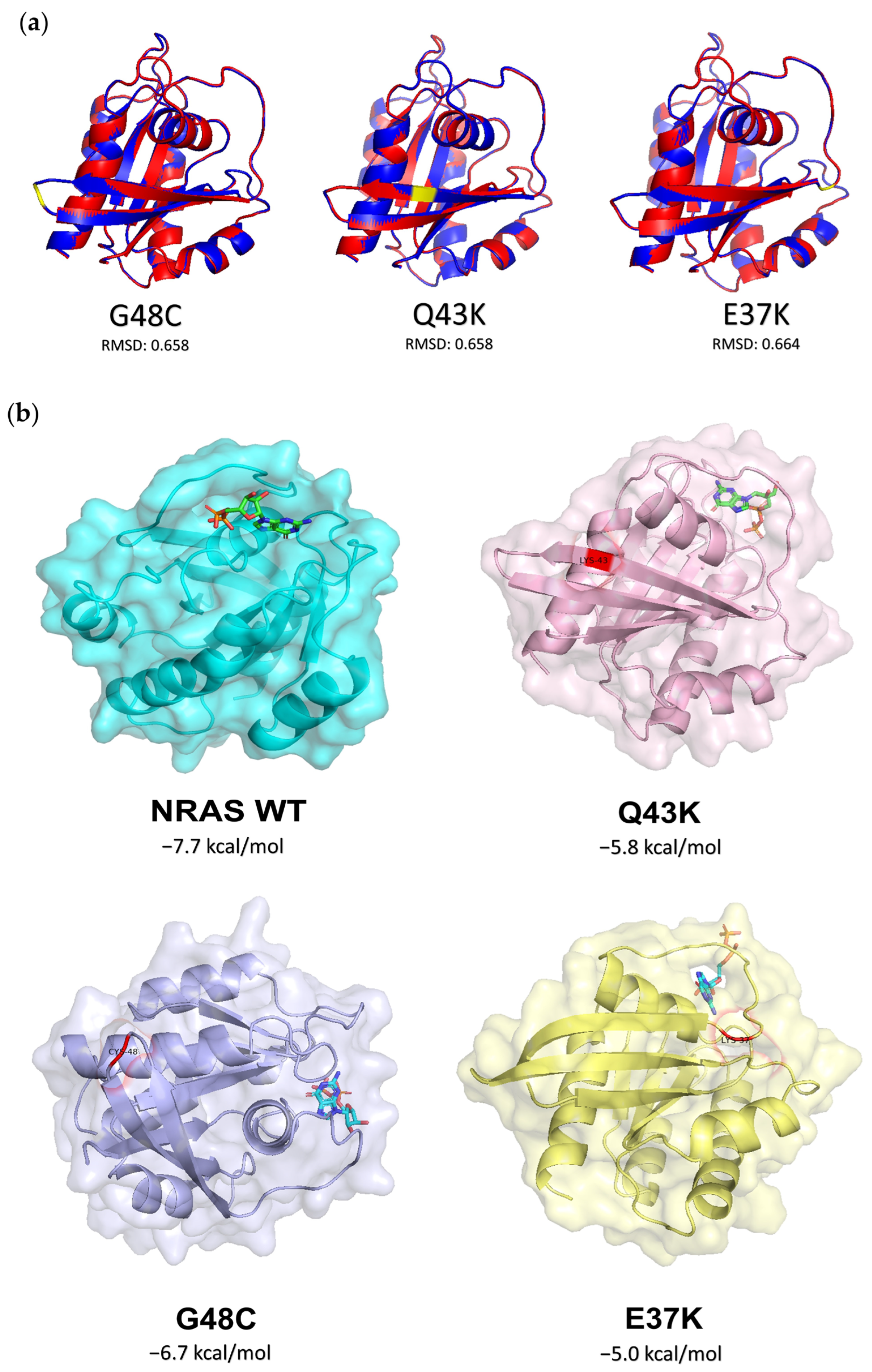 Cells 13 01691 g006 Cells 13 01691 g006