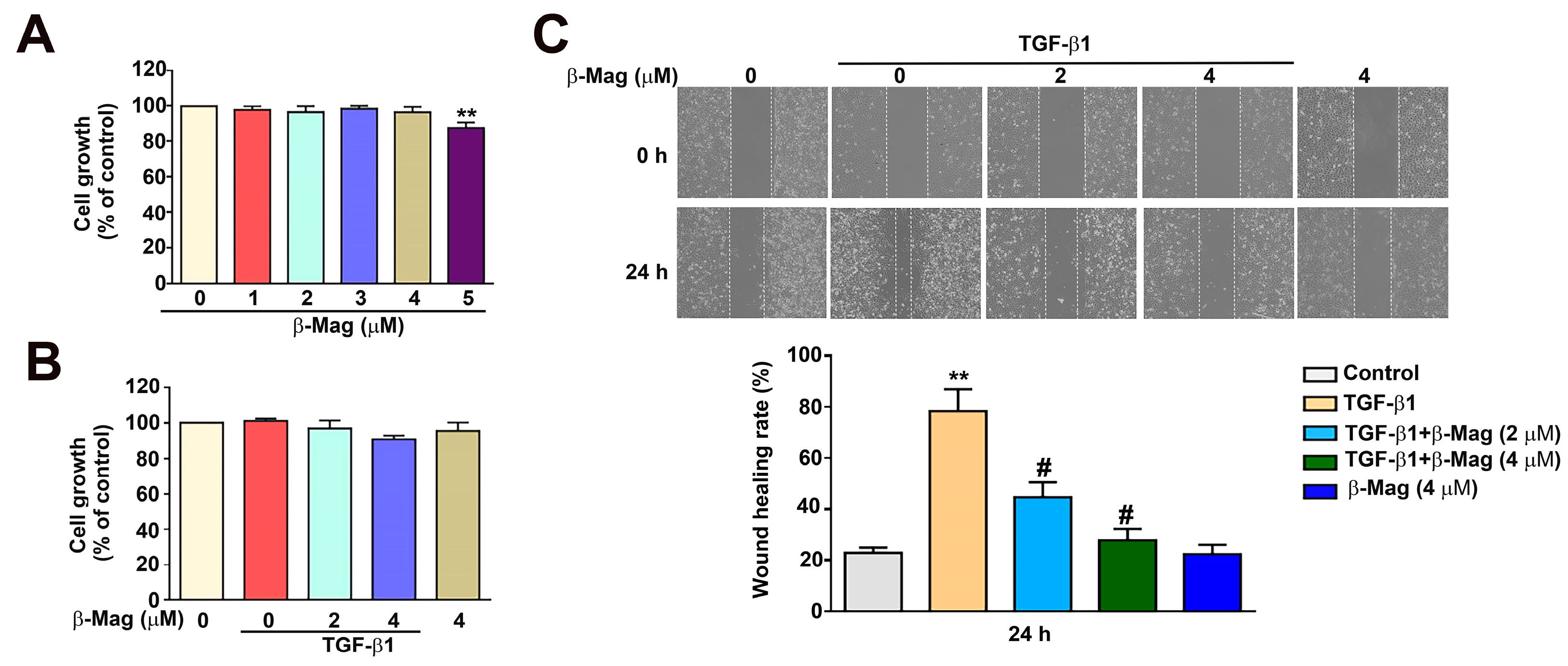 Cells 13 01701 g003 Cells 13 01701 g003