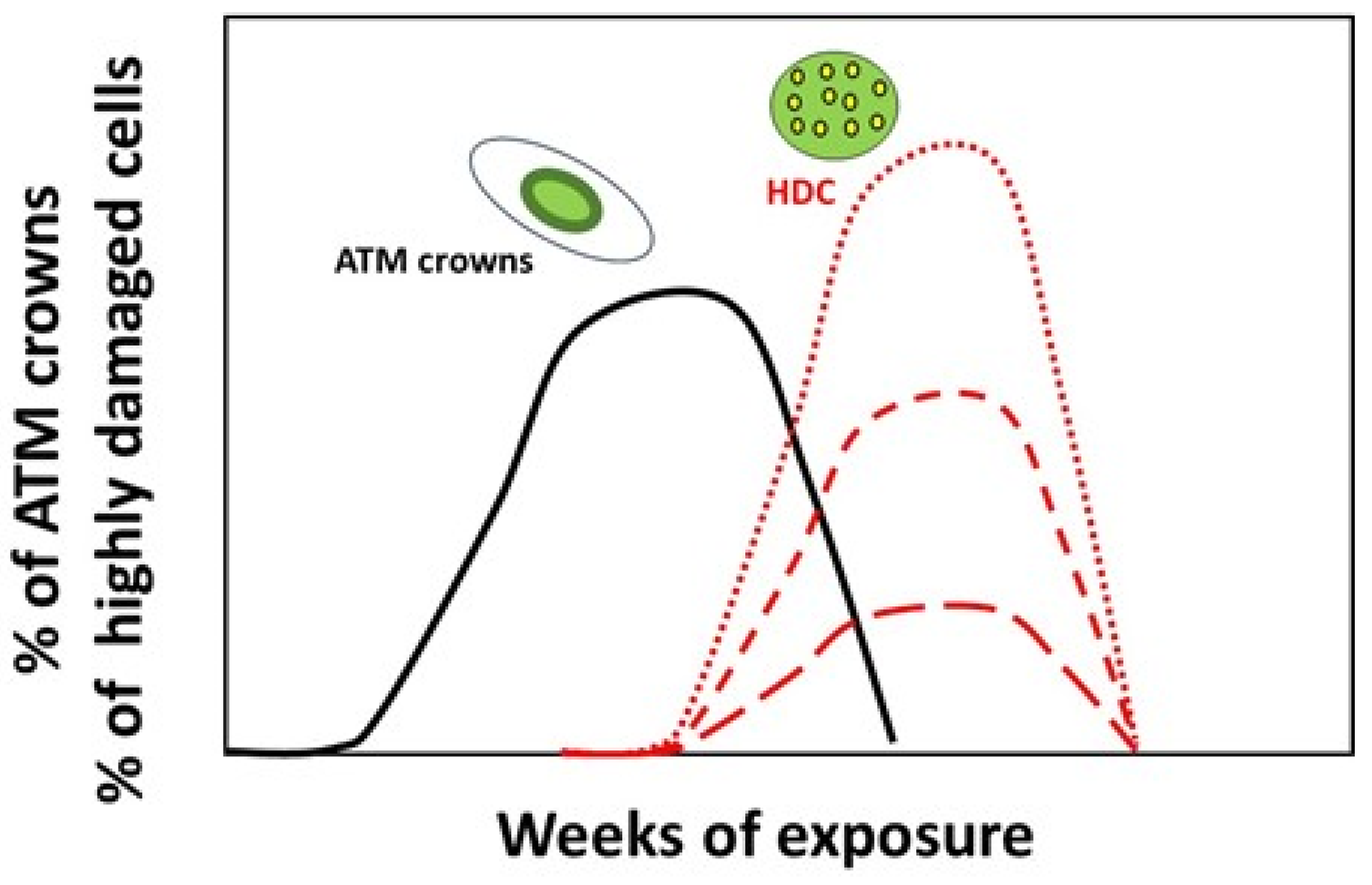 Cells 13 01703 g006 Cells 13 01703 g006