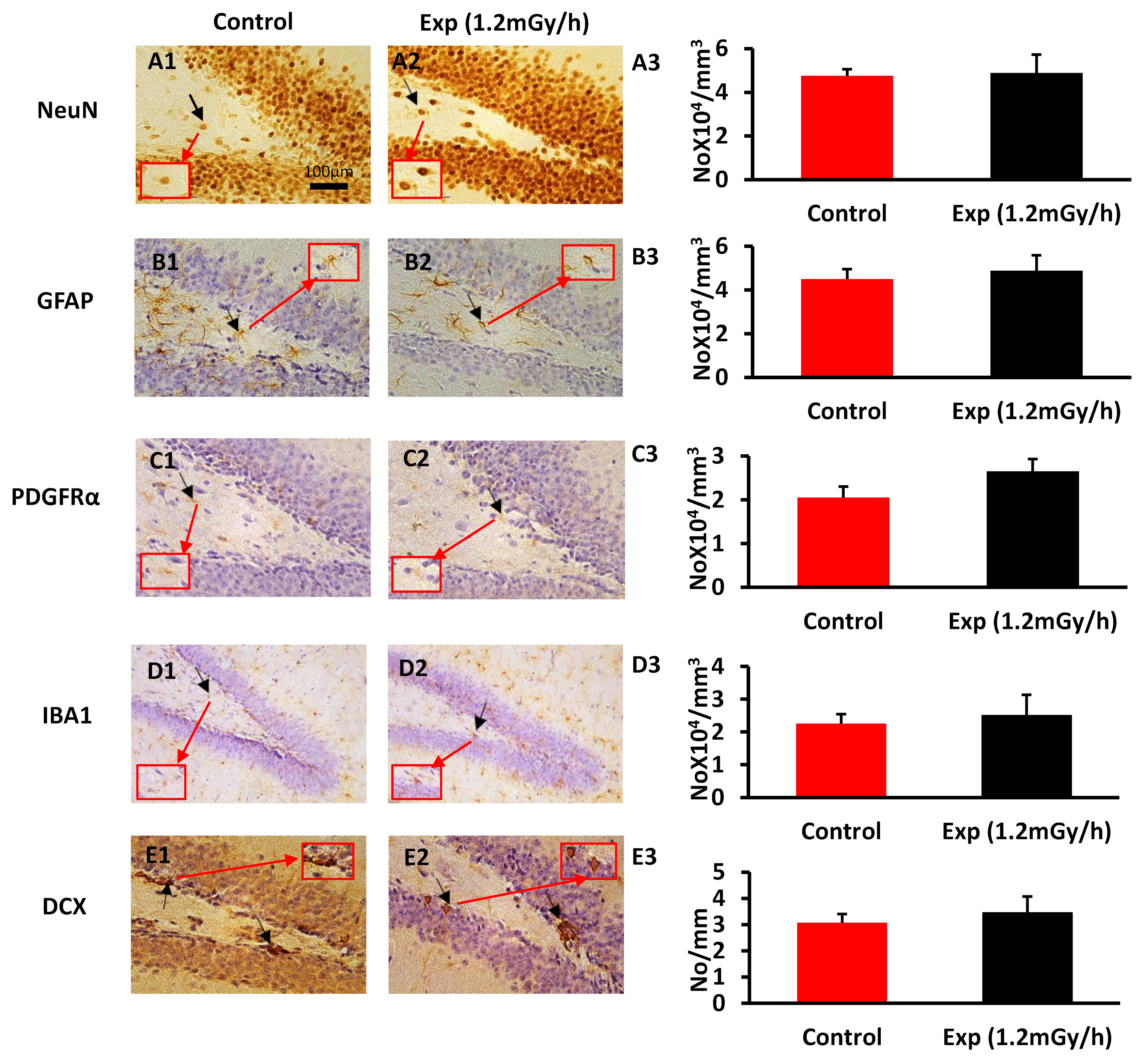 Cells 13 01705 g003a Cells 13 01705 g003a
