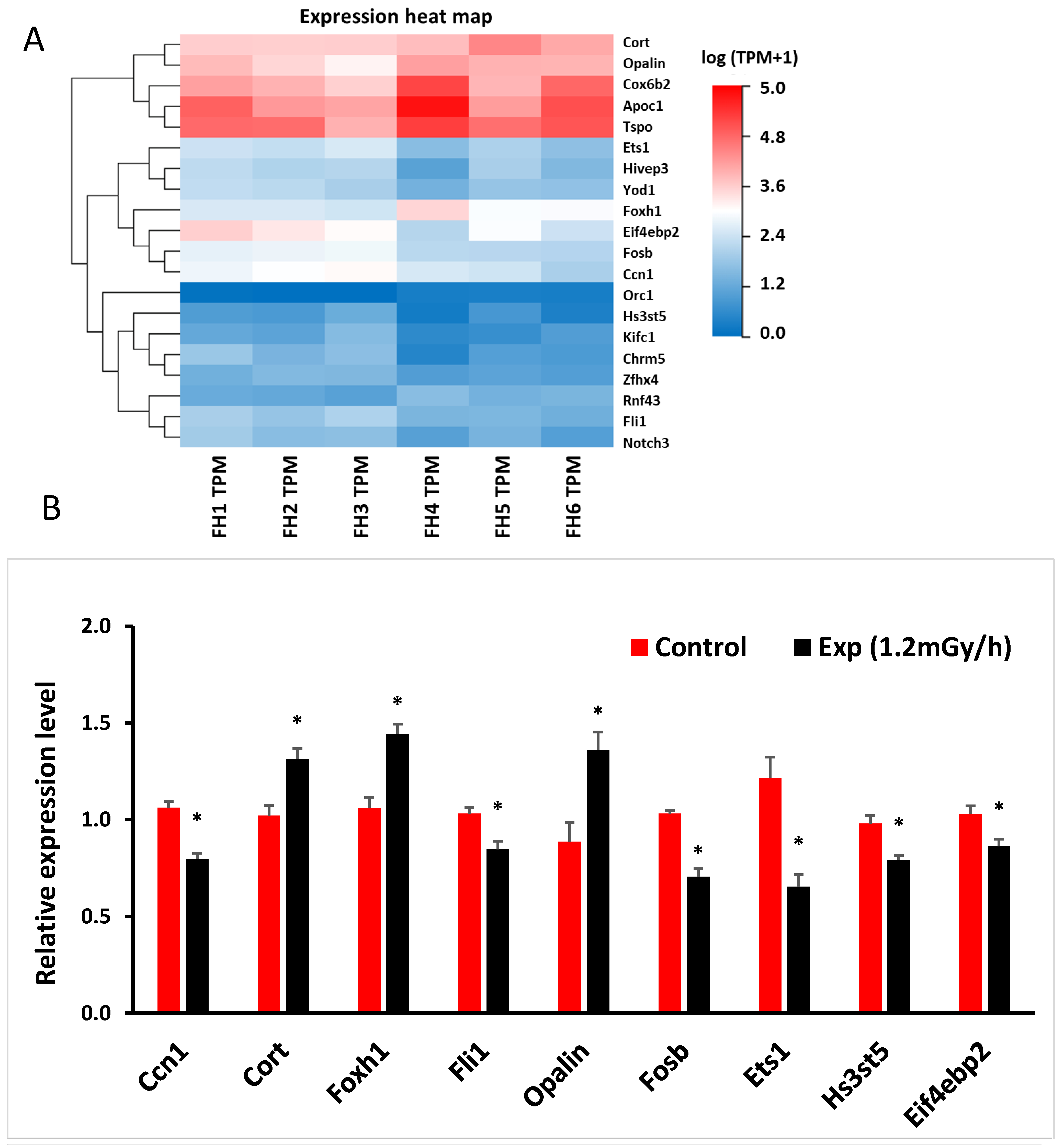 Cells 13 01705 g004 Cells 13 01705 g004