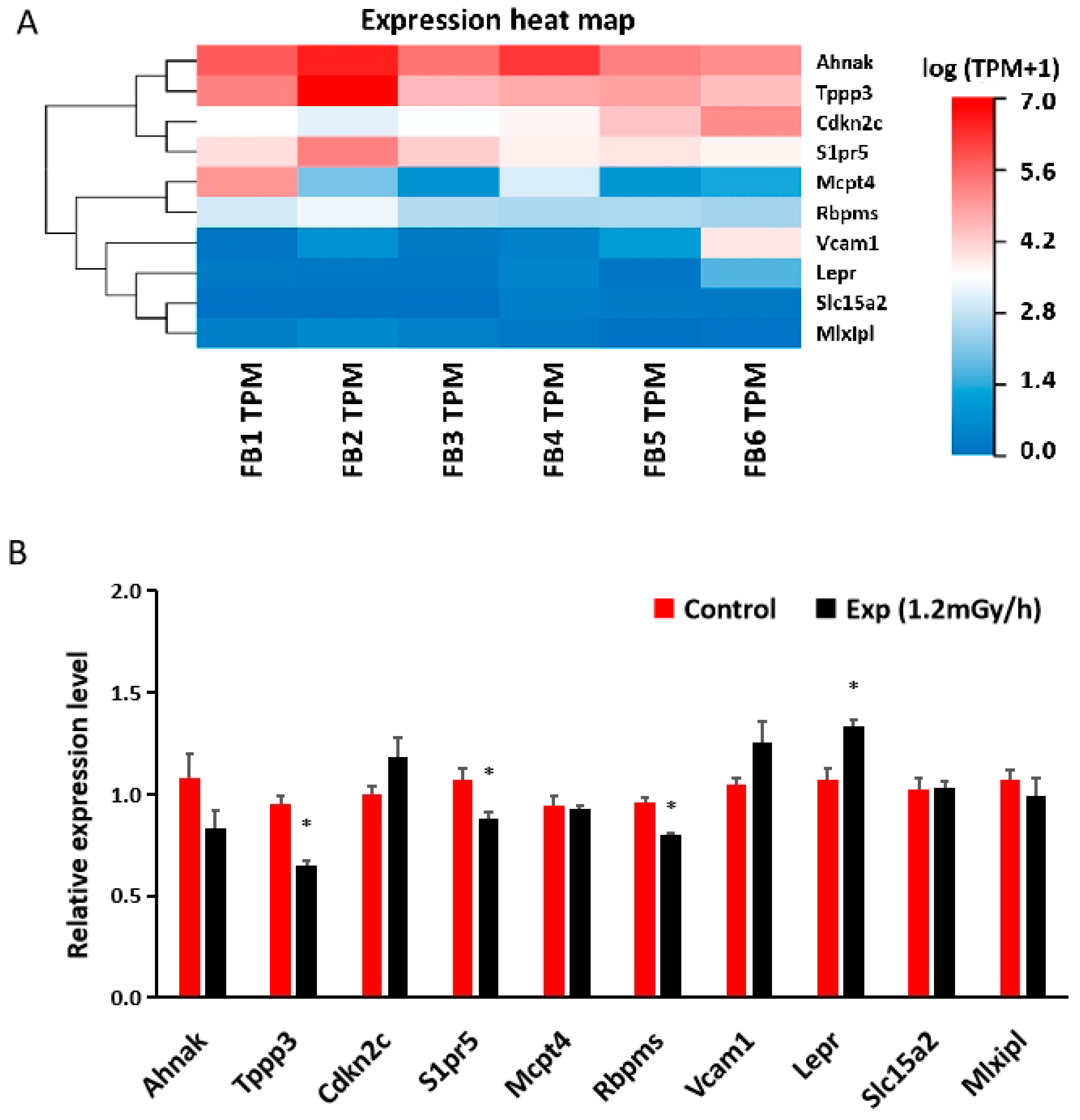 Cells 13 01705 g006 Cells 13 01705 g006