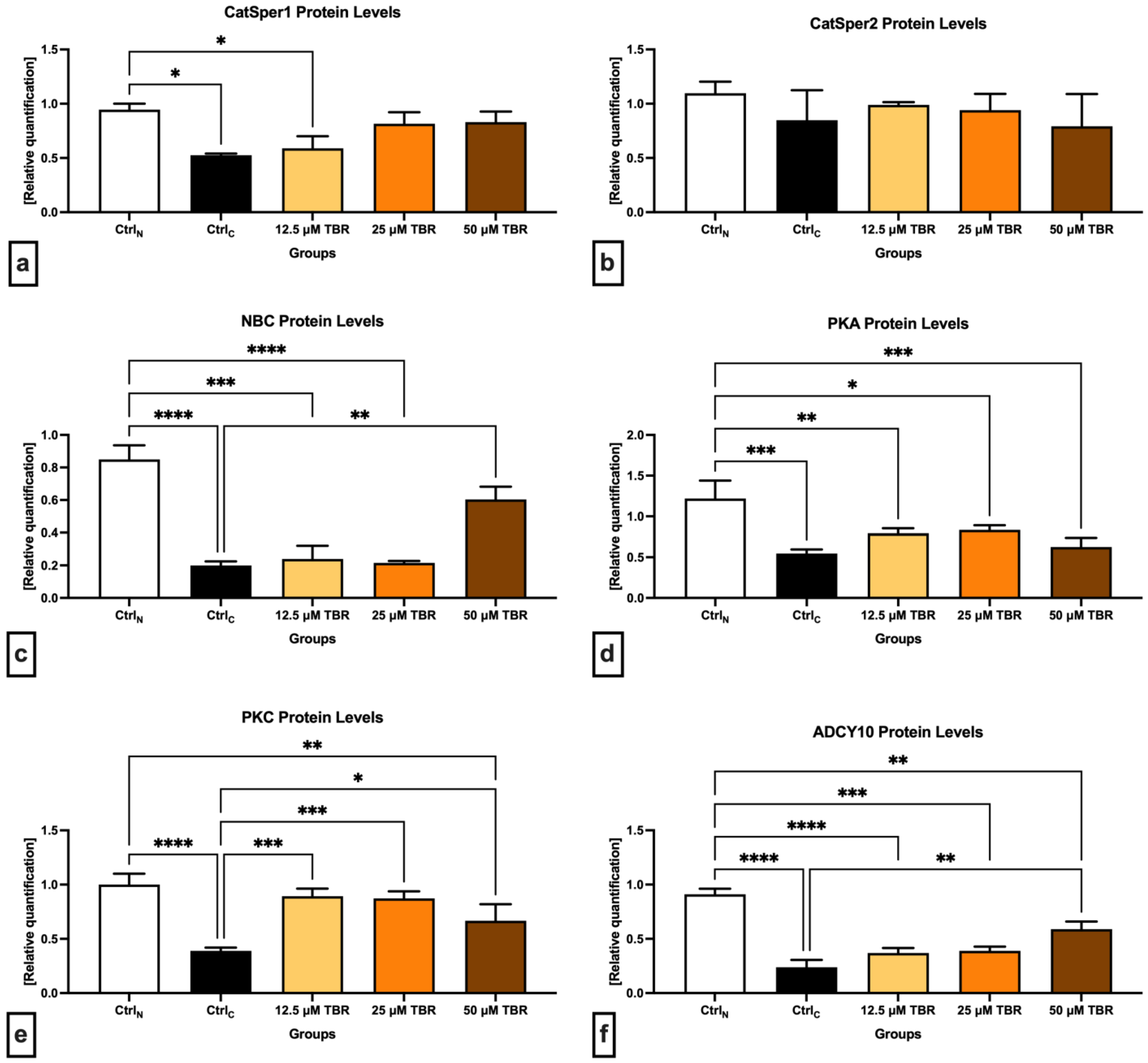 Cells 13 01710 g002 Cells 13 01710 g002