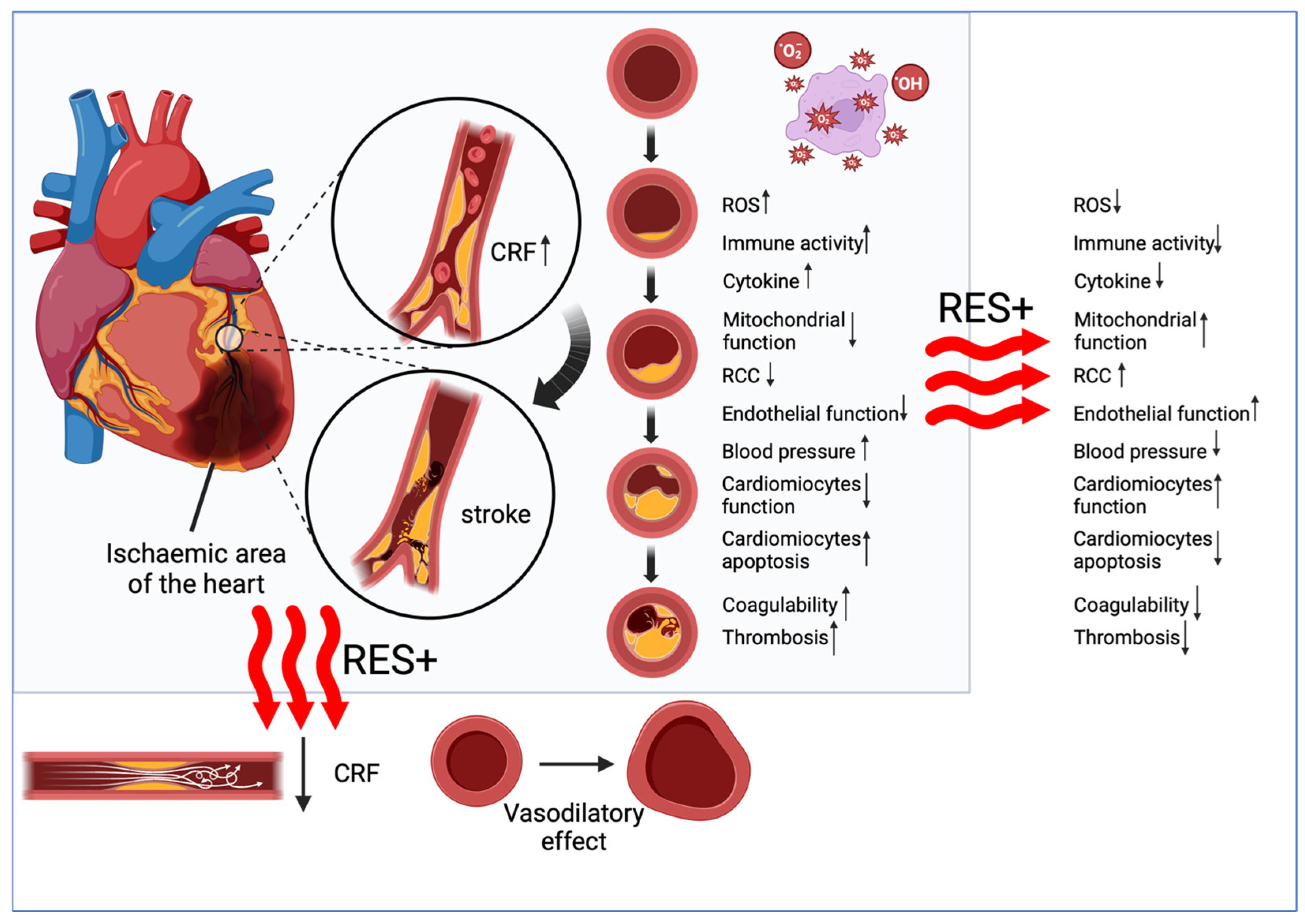Cells 13 01732 g002 Cells 13 01732 g002