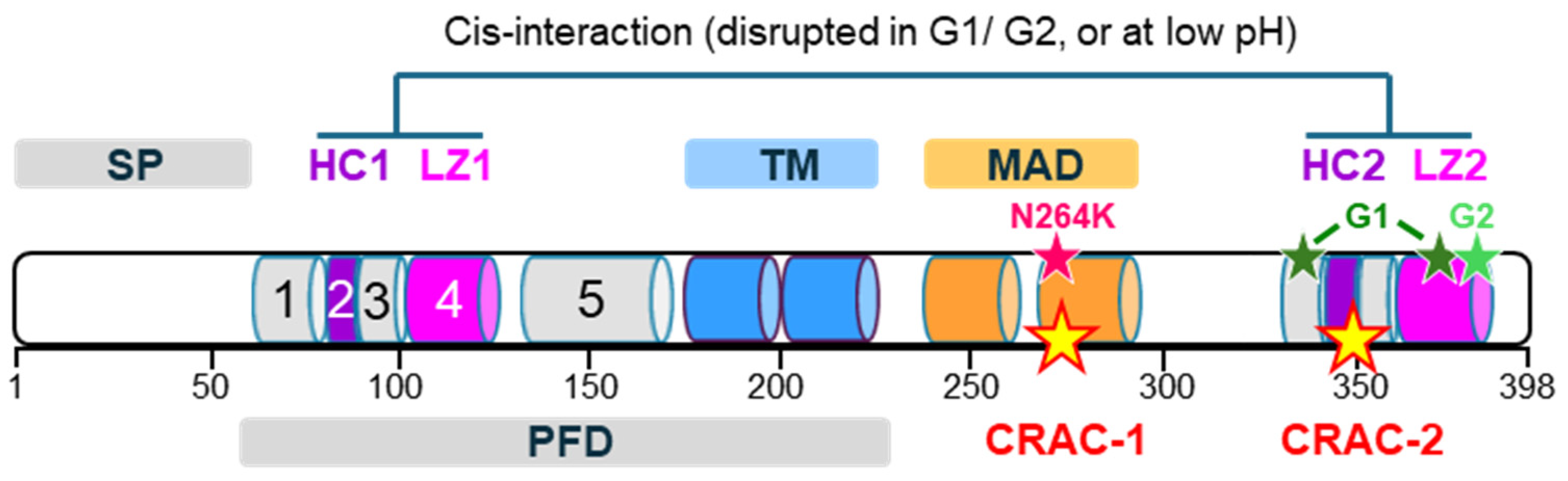 Cells 13 01738 g001 Cells 13 01738 g001