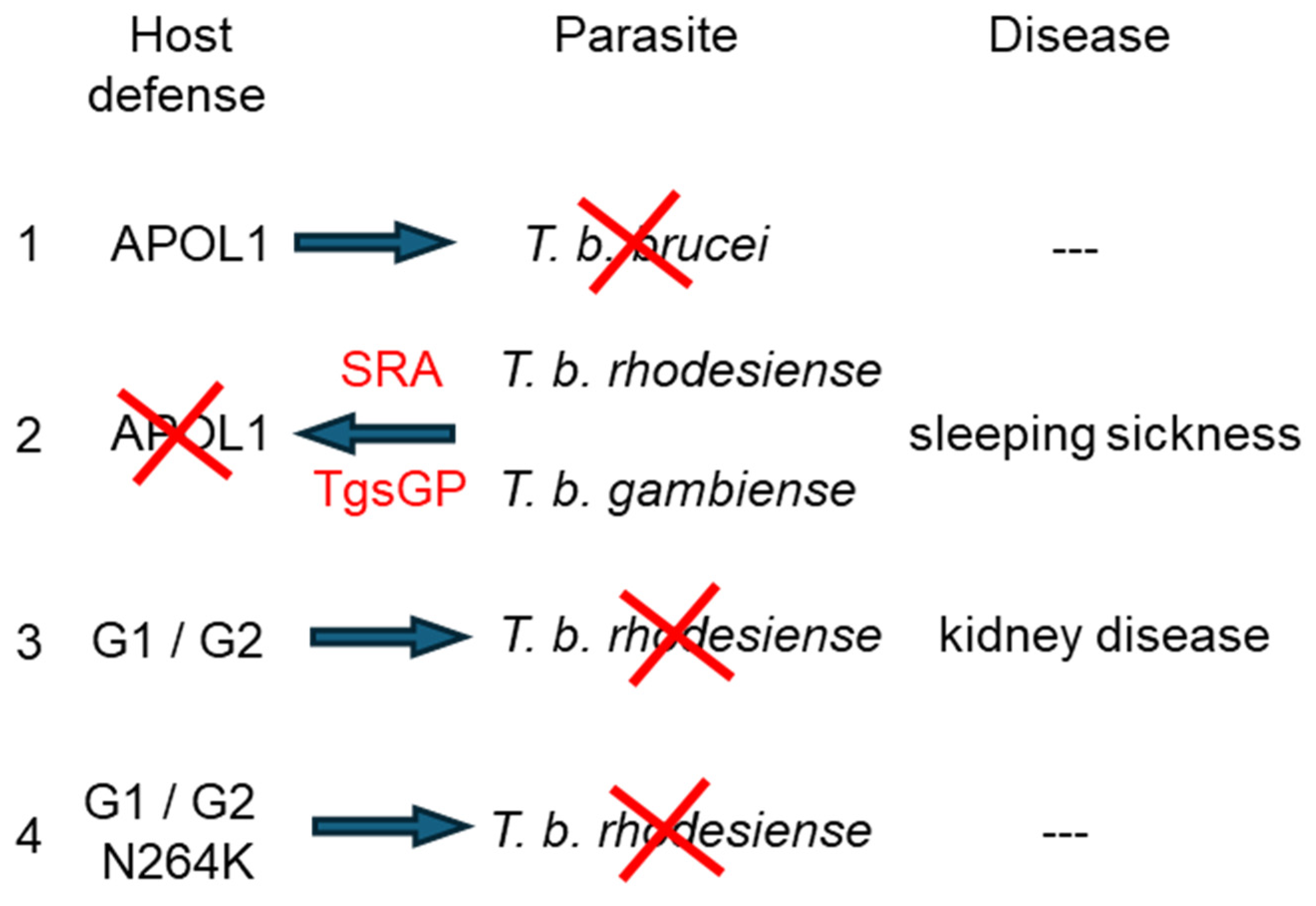 Cells 13 01738 g004 Cells 13 01738 g004
