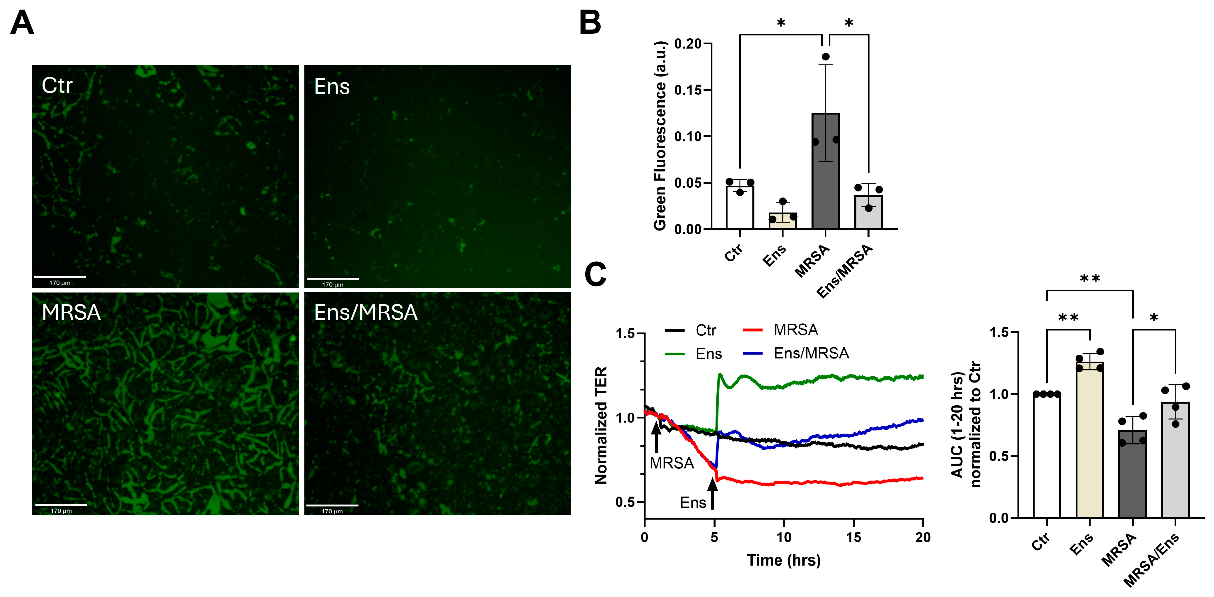 Cells 13 01750 g002 Cells 13 01750 g002