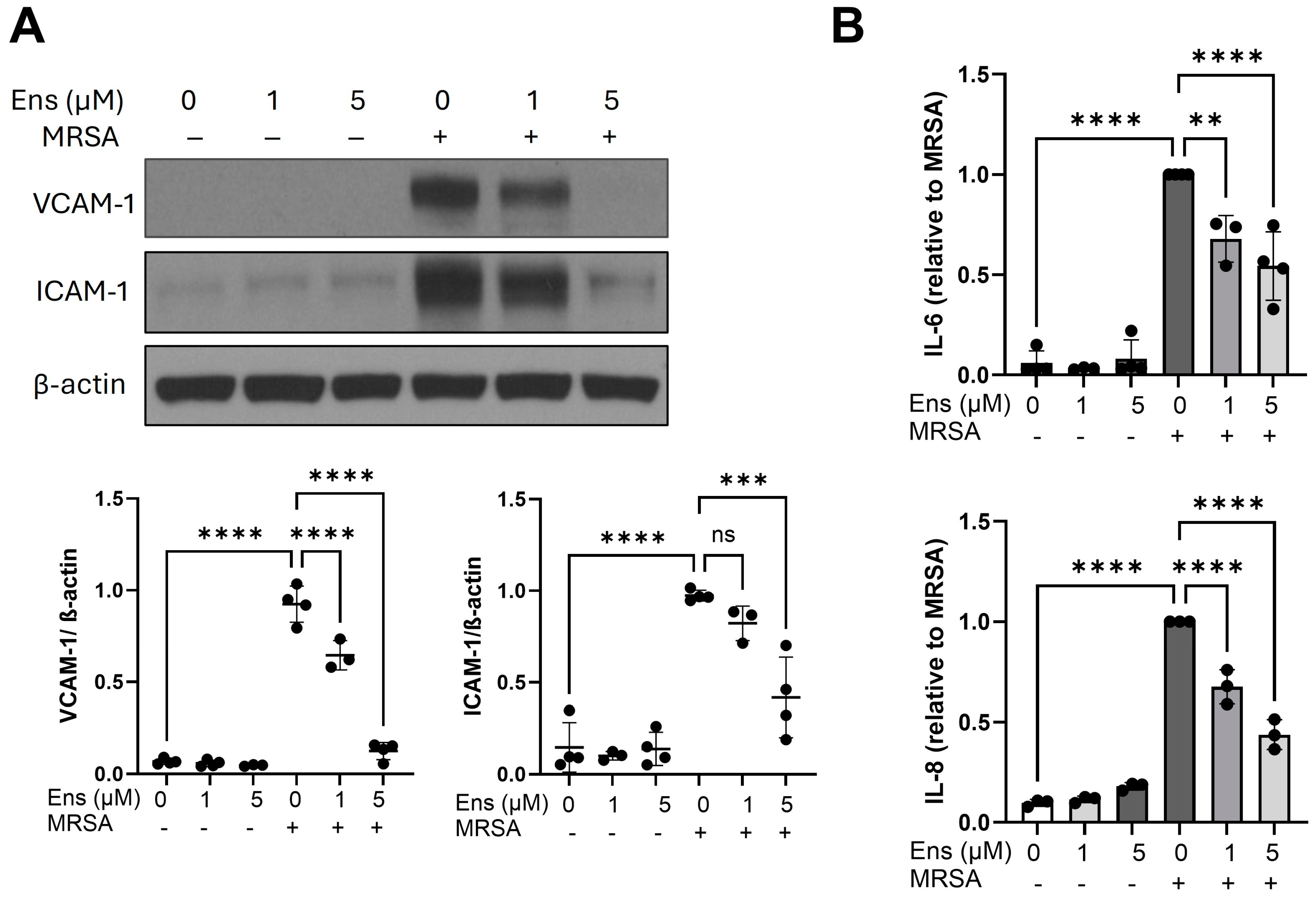 Cells 13 01750 g004 Cells 13 01750 g004