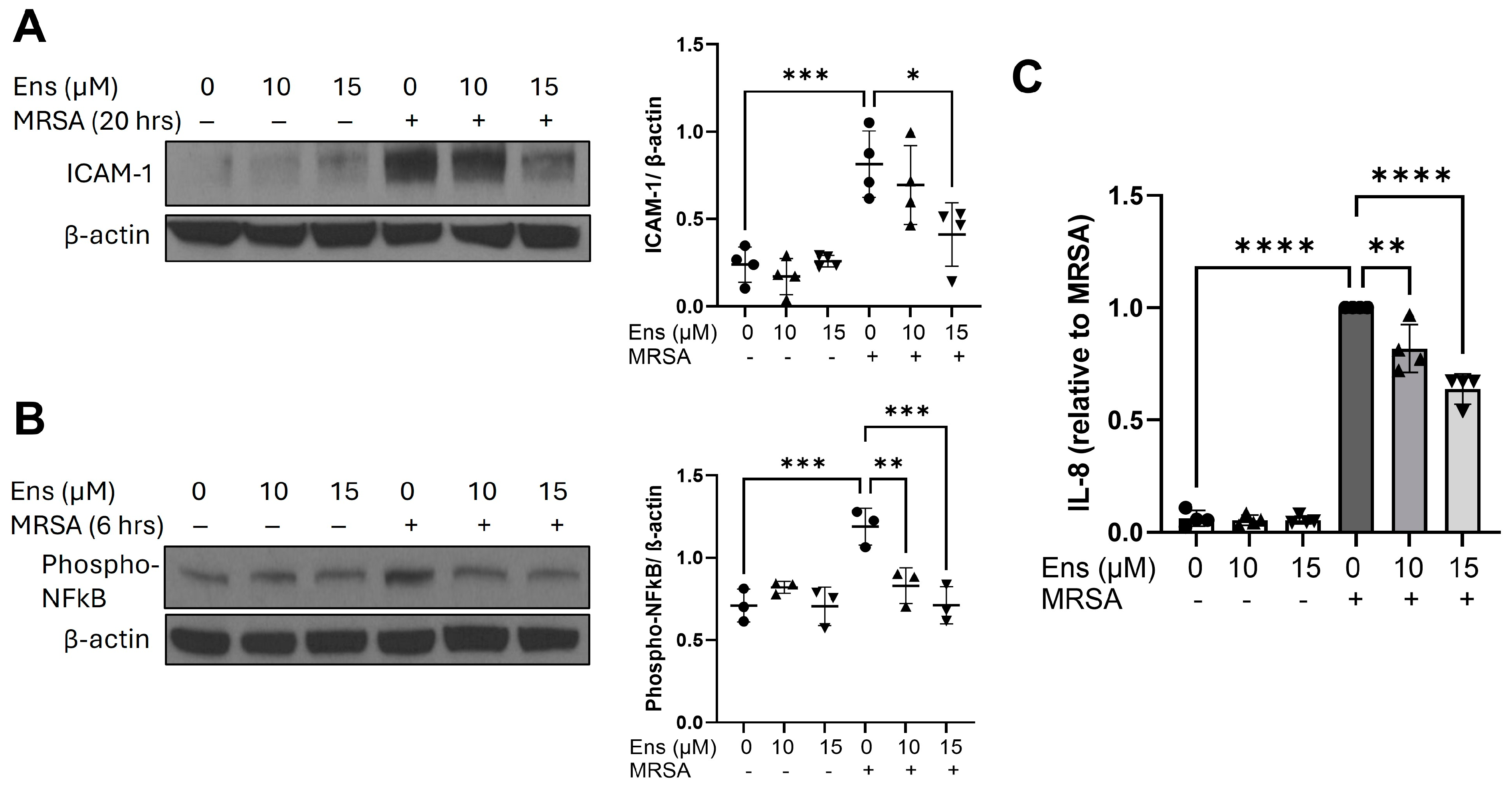 Cells 13 01750 g005 Cells 13 01750 g005