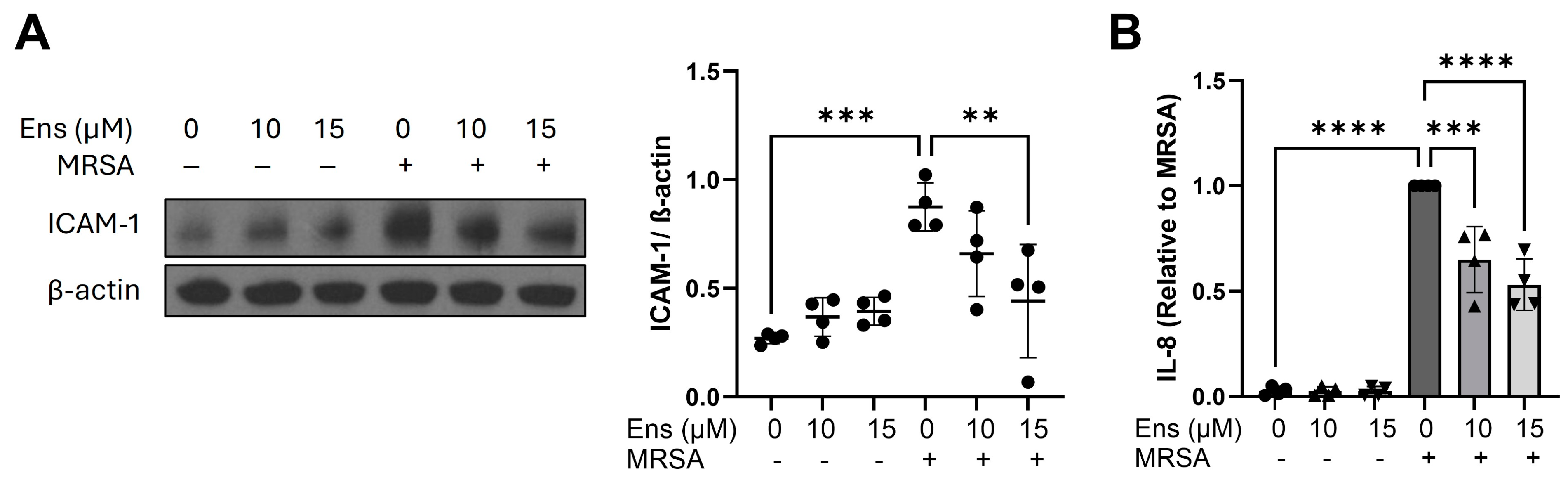 Cells 13 01750 g006 Cells 13 01750 g006
