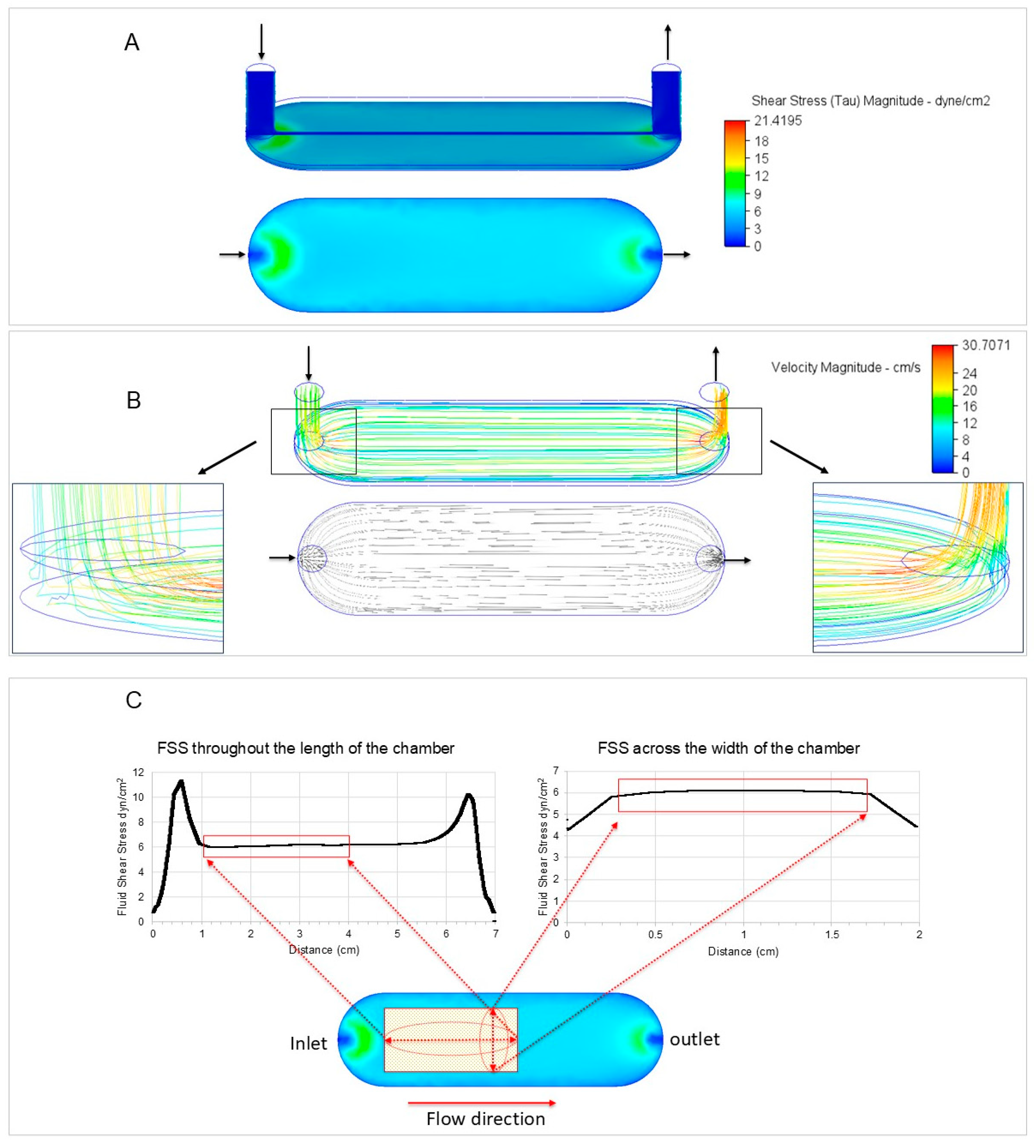 Cells 13 01751 g002 Cells 13 01751 g002