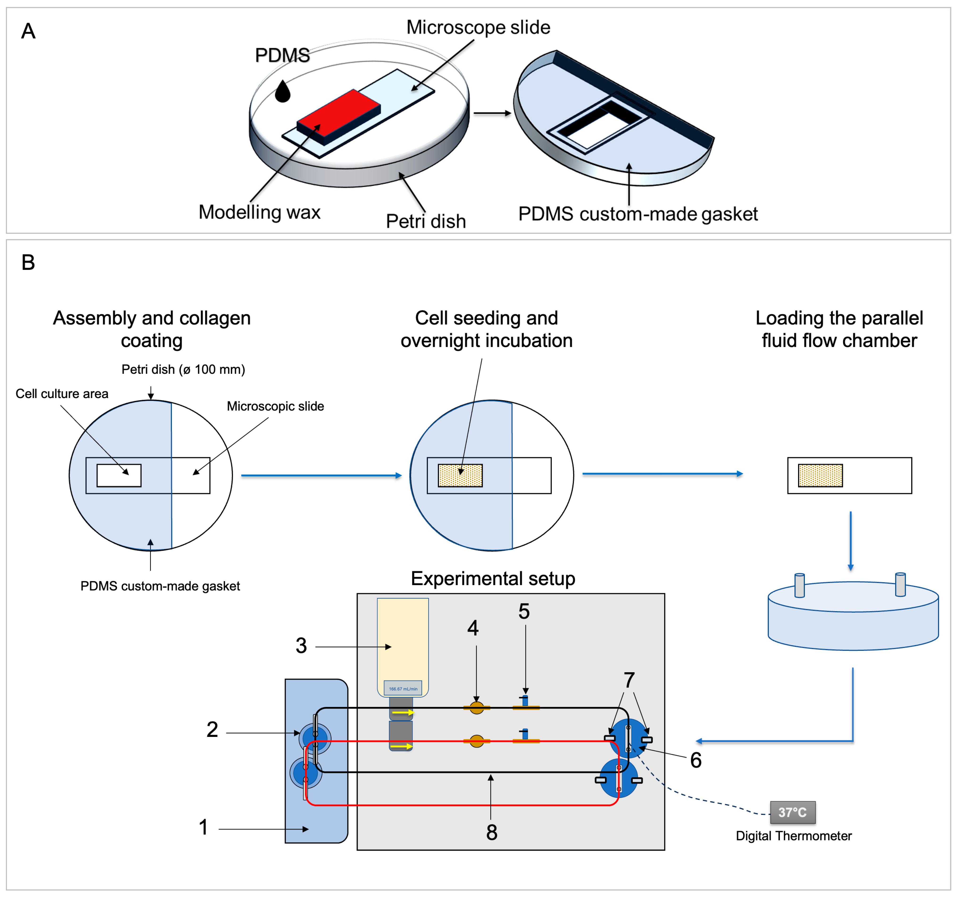 Cells 13 01751 g003 Cells 13 01751 g003