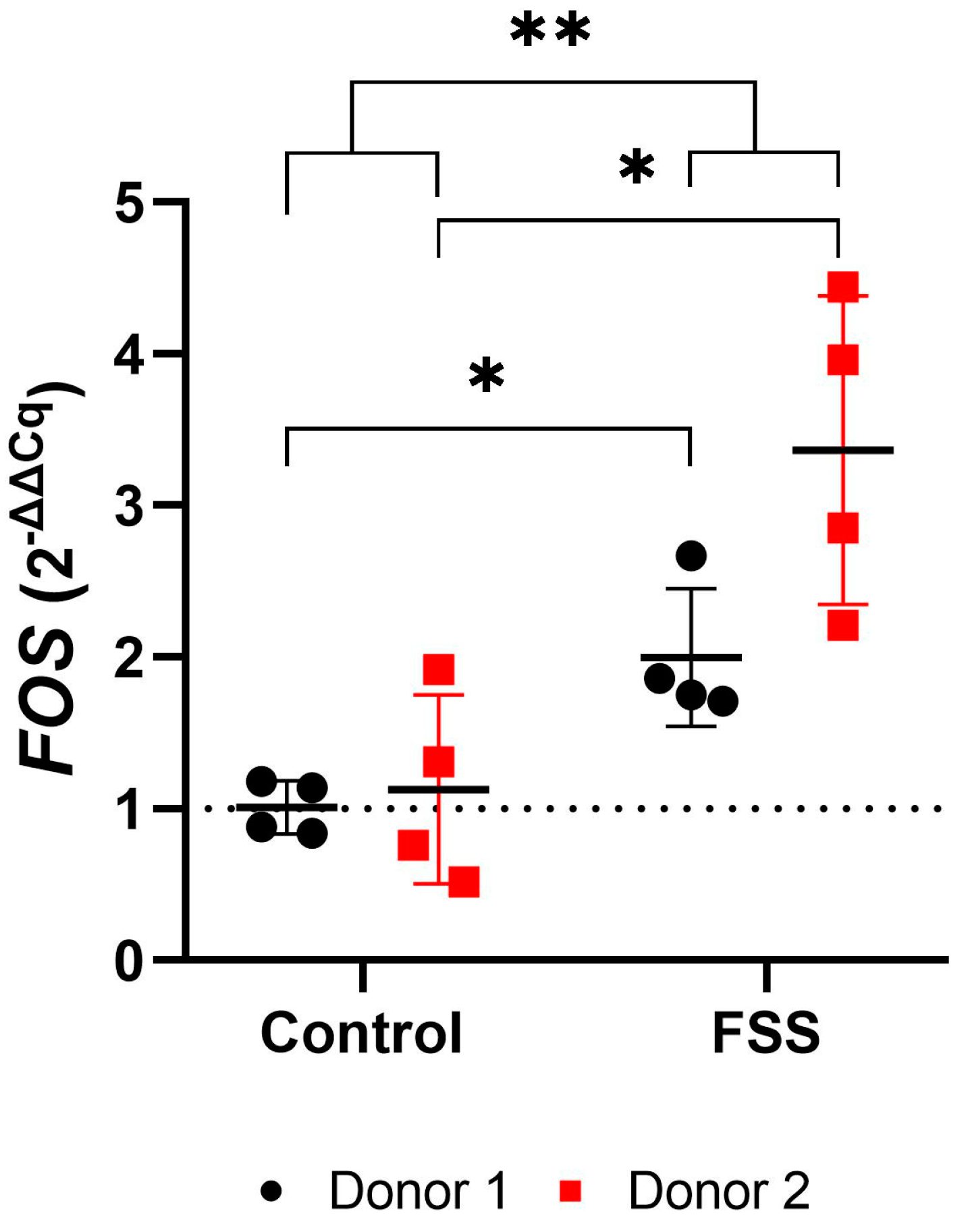 Cells 13 01751 g008 Cells 13 01751 g008