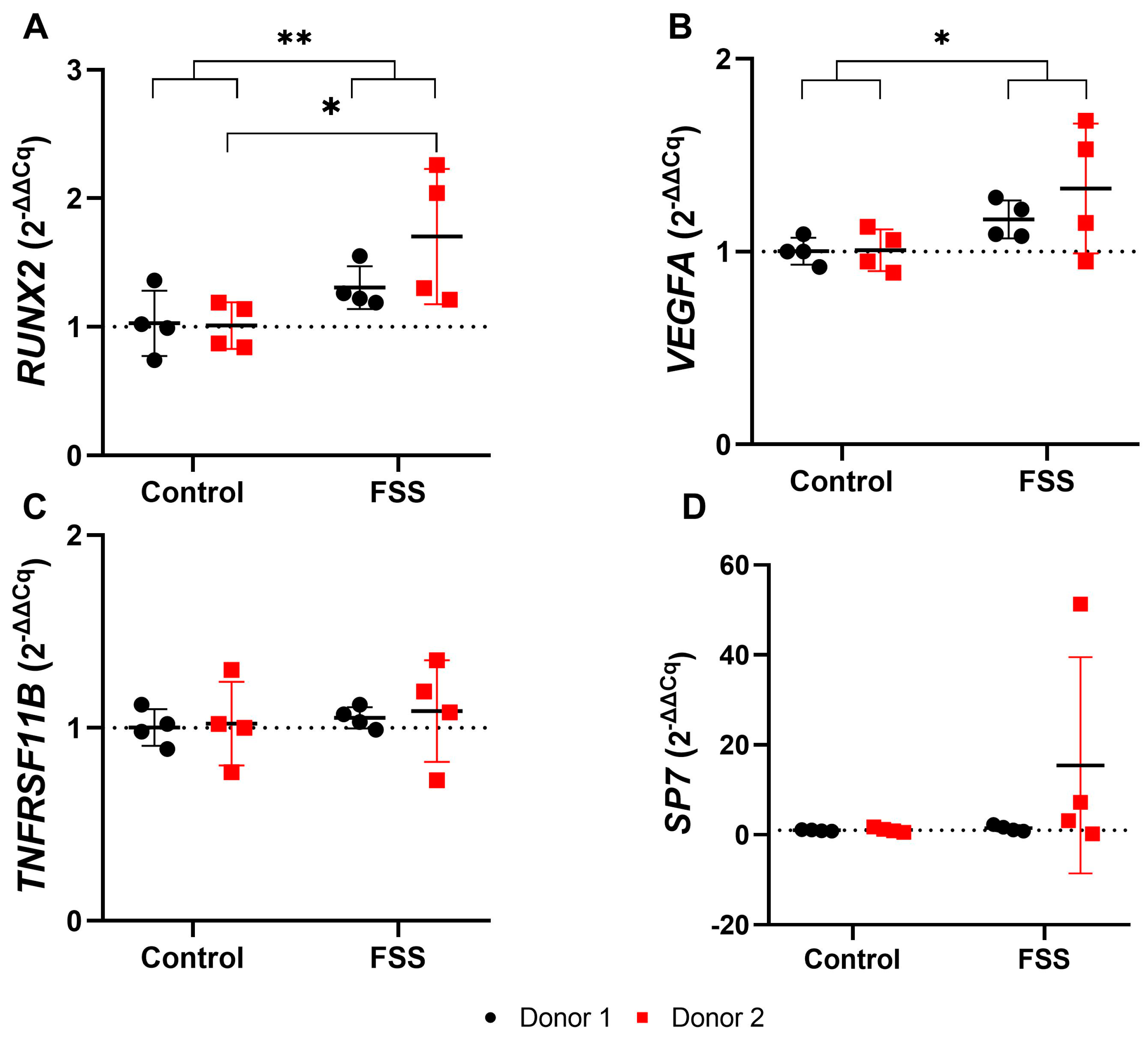 Cells 13 01751 g010 Cells 13 01751 g010