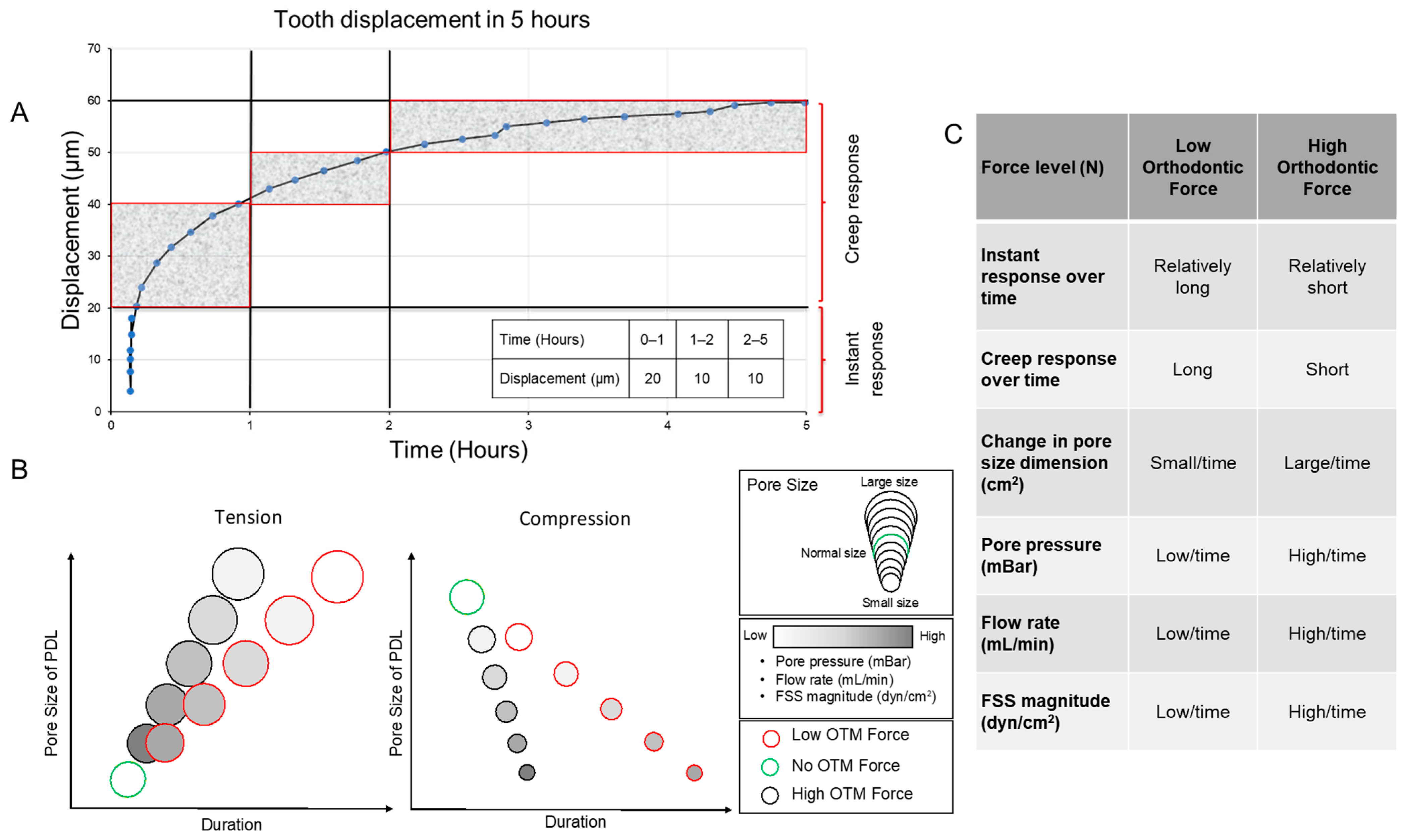 Cells 13 01751 g012 Cells 13 01751 g012