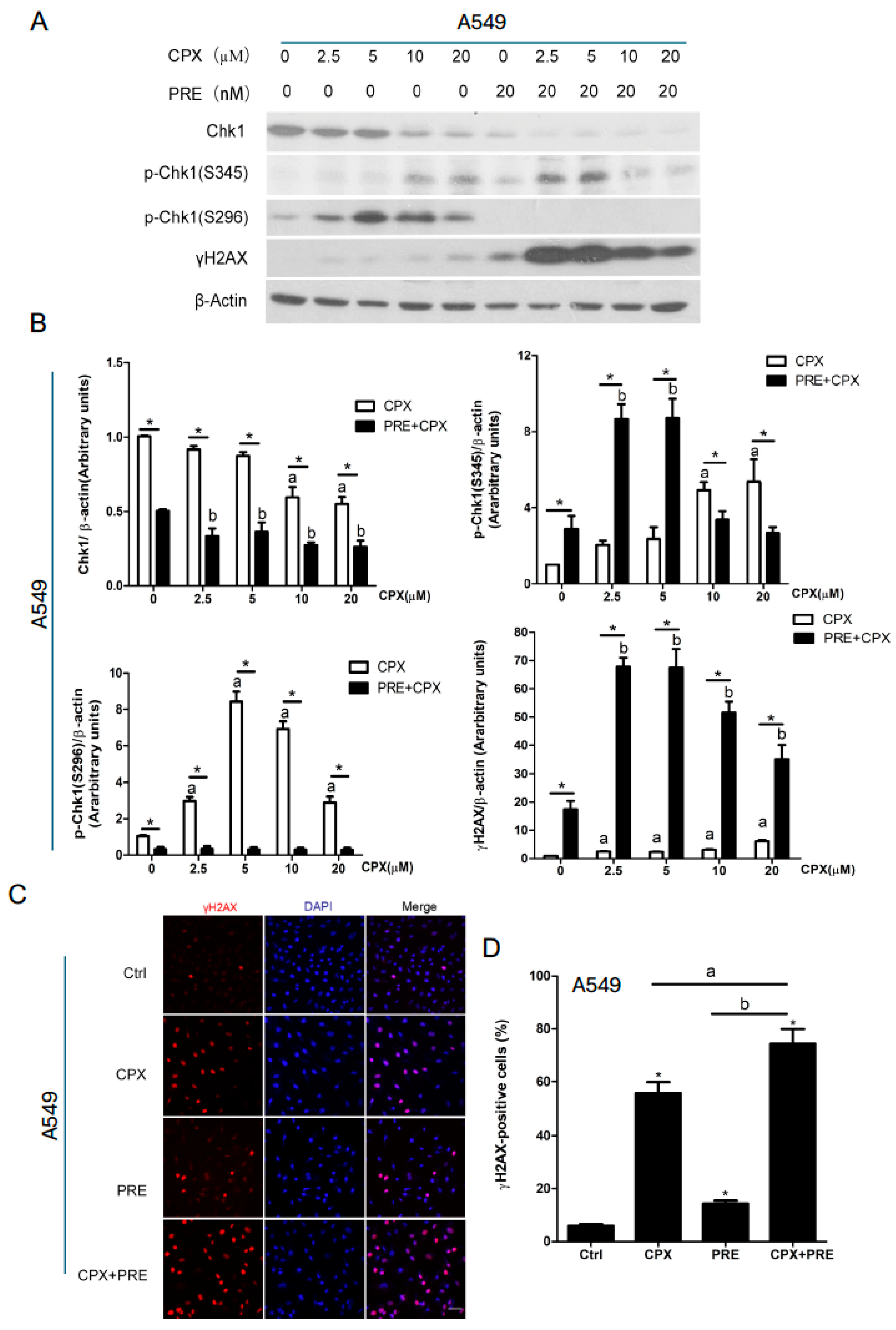 Cells 13 01752 g003 Cells 13 01752 g003