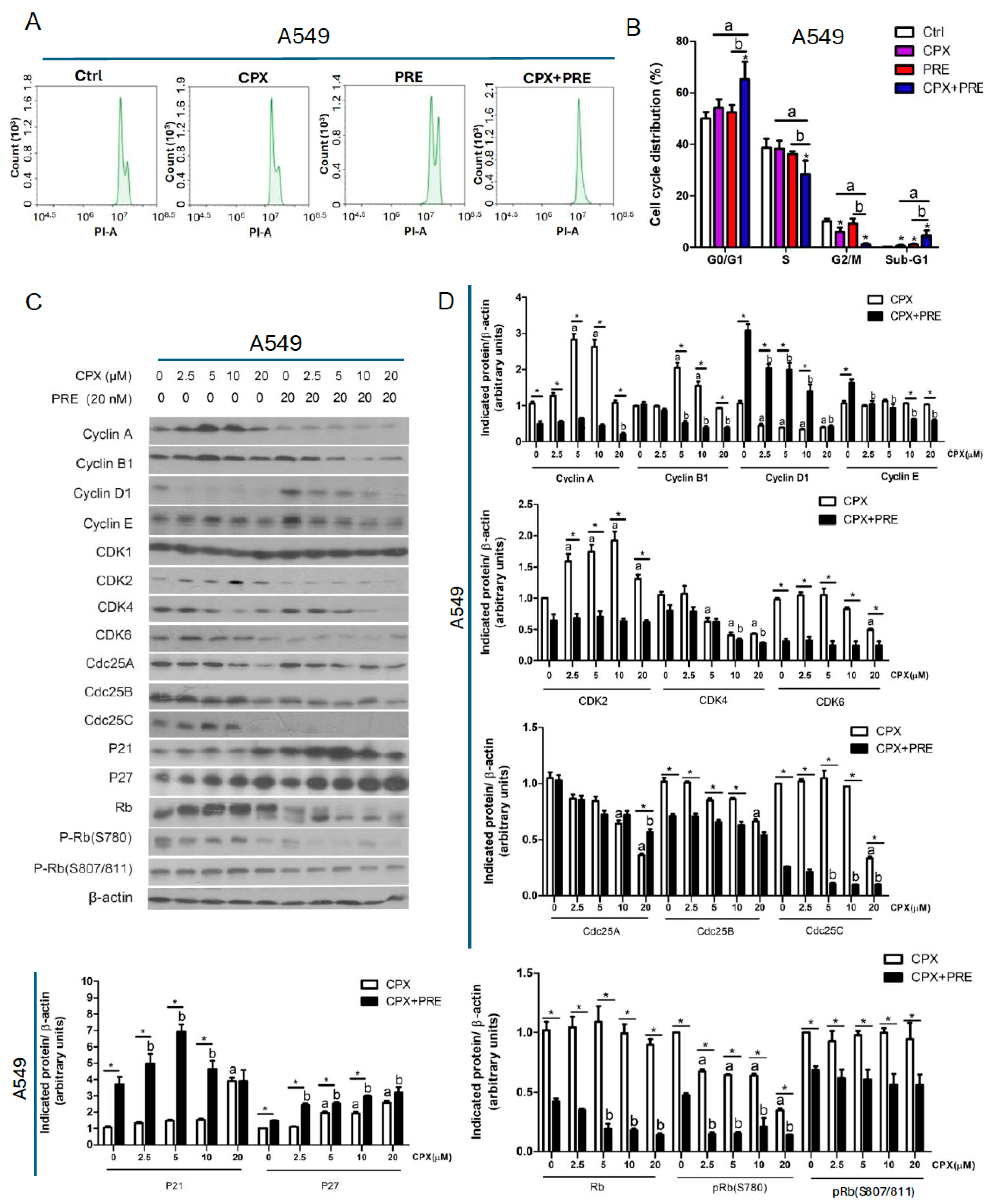 Cells 13 01752 g004 Cells 13 01752 g004